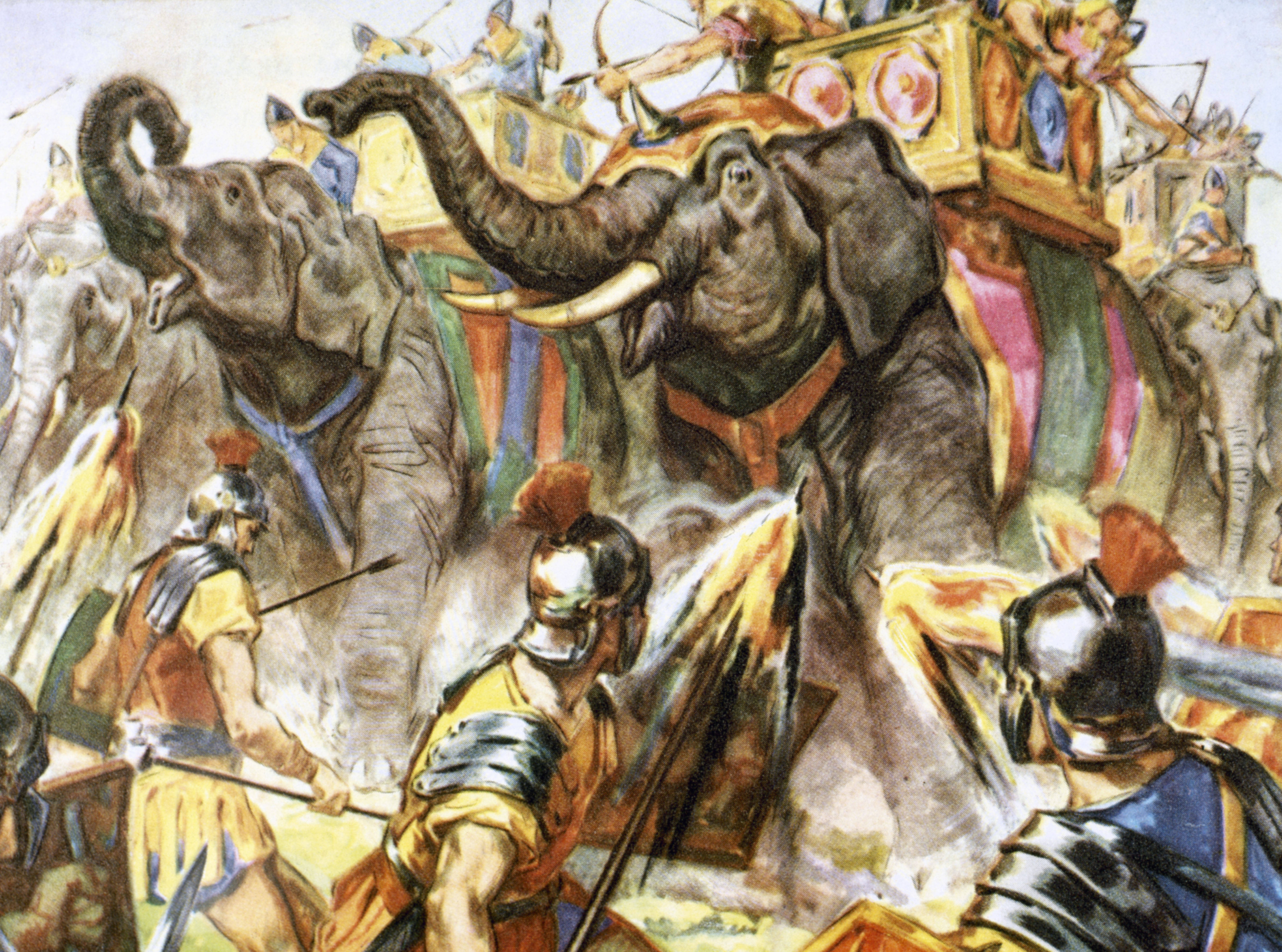 Carthage, soldiers, elephants, 5K Desktop Wallpaper