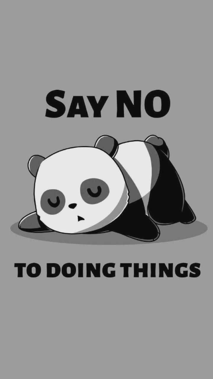 panda bear, say no to doing things, plain gray background, HD Phone Wallpaper