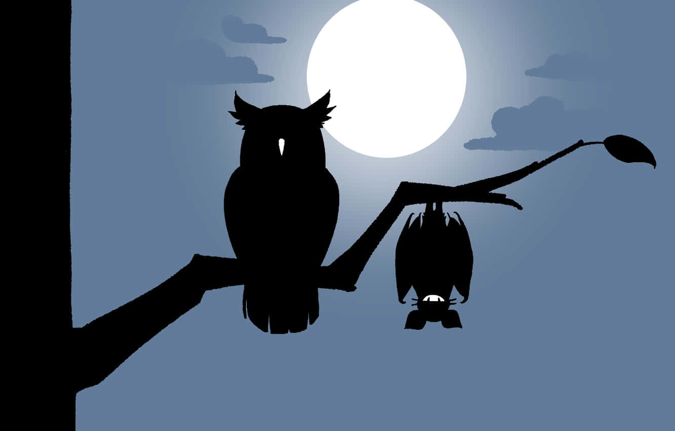 owl, bat, branch, HD Desktop Wallpaper