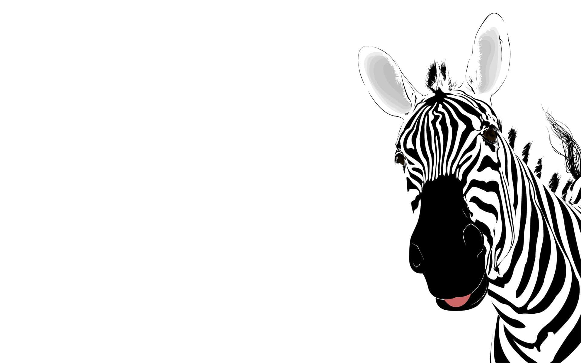 Cartoon Animal, black and white zebra head, plain white background, Full HD Desktop Wallpaper