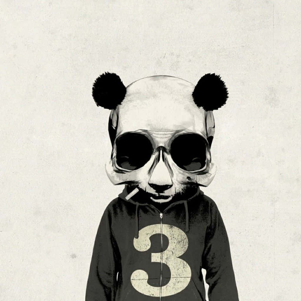 panda, oversized sunglasses, hoodie, SD Desktop Wallpaper