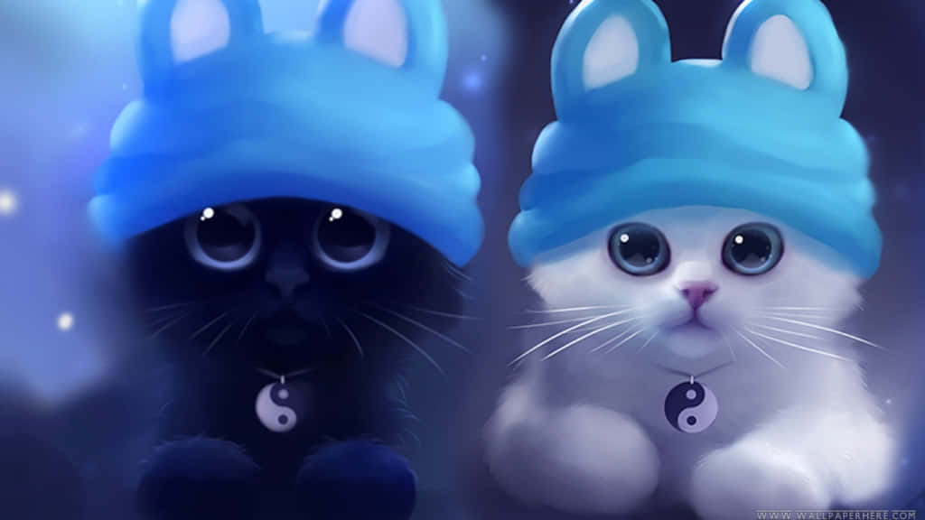 kawaii anime cat, black cat, white cat, SD Desktop Wallpaper