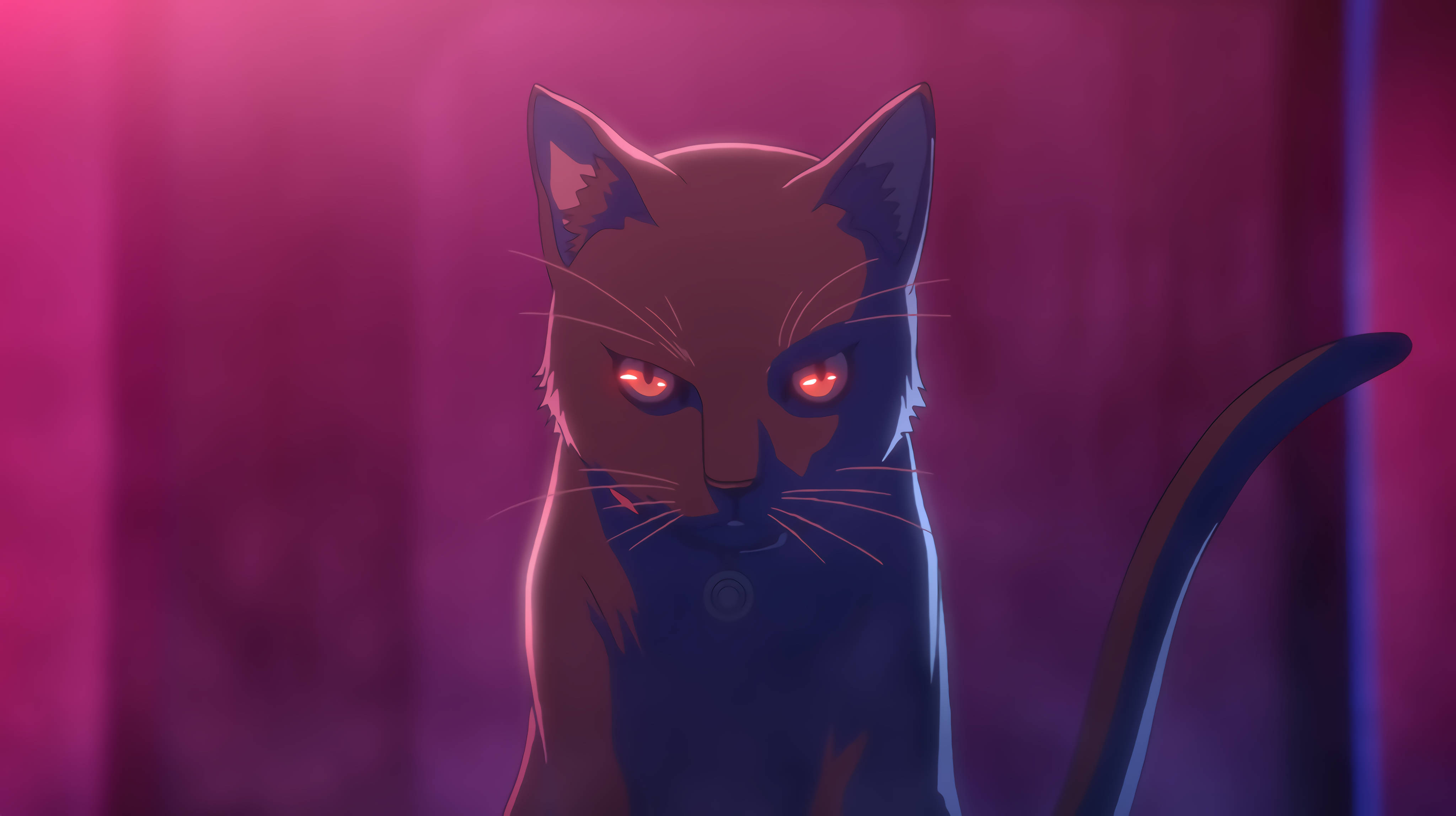 cat computer, black, anime, 4K Desktop Wallpaper