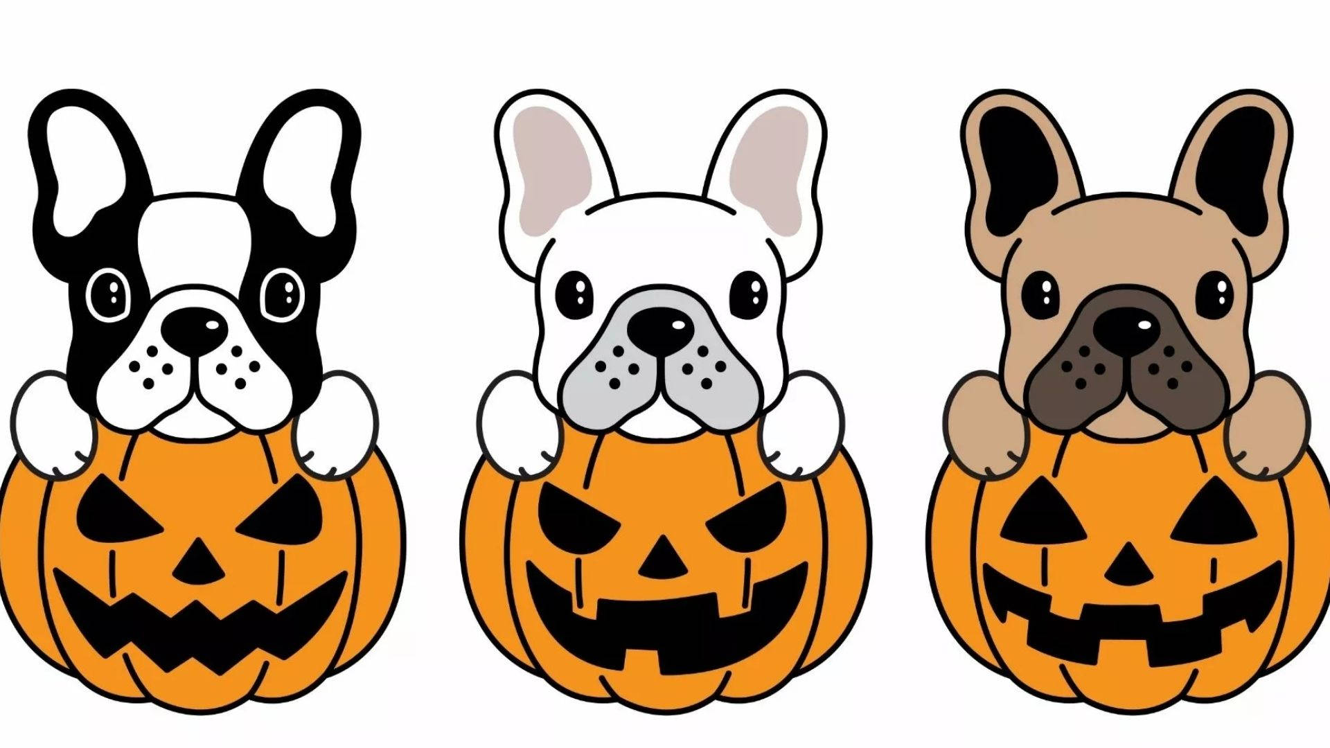 Cartoon Halloween, French bulldogs, pumpkins, Full HD Desktop Wallpaper
