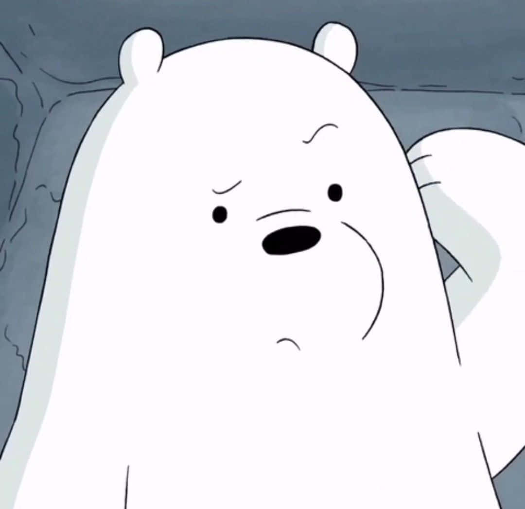 cartoon polar bear, white bear, grumpy expression, SD Desktop Wallpaper