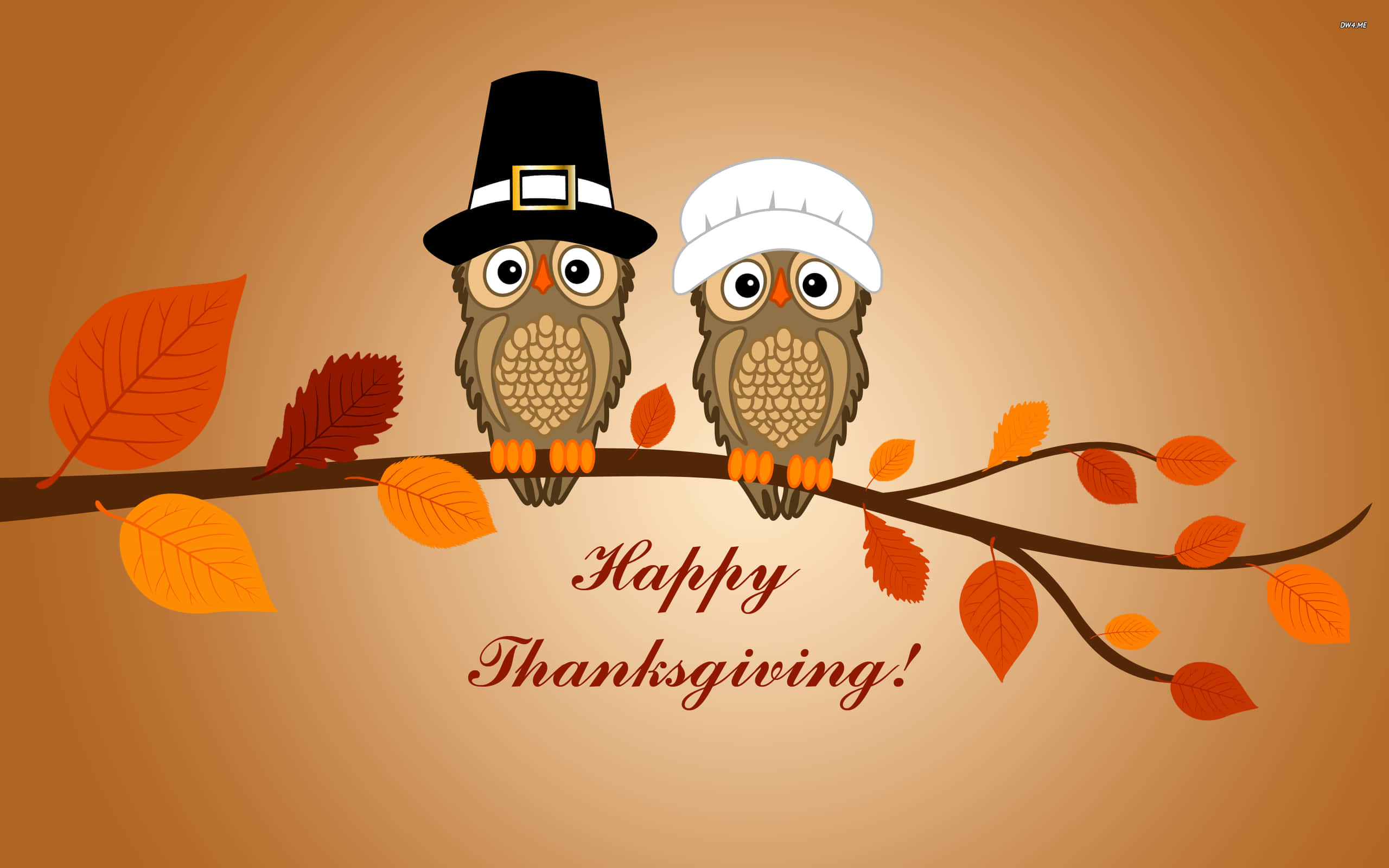 Cartoon Thanksgiving, owls, pilgrim hats, 2K Desktop Wallpaper