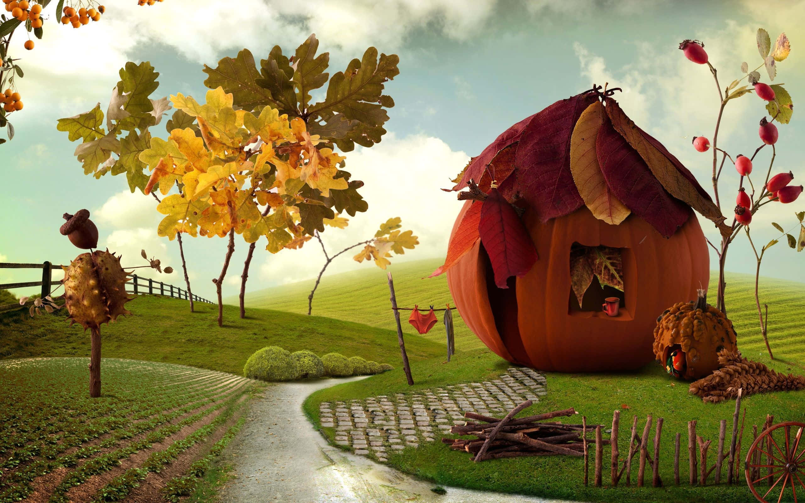 Cartoon Thanksgiving, pumpkin house, autumn meadow, 2K Desktop Wallpaper