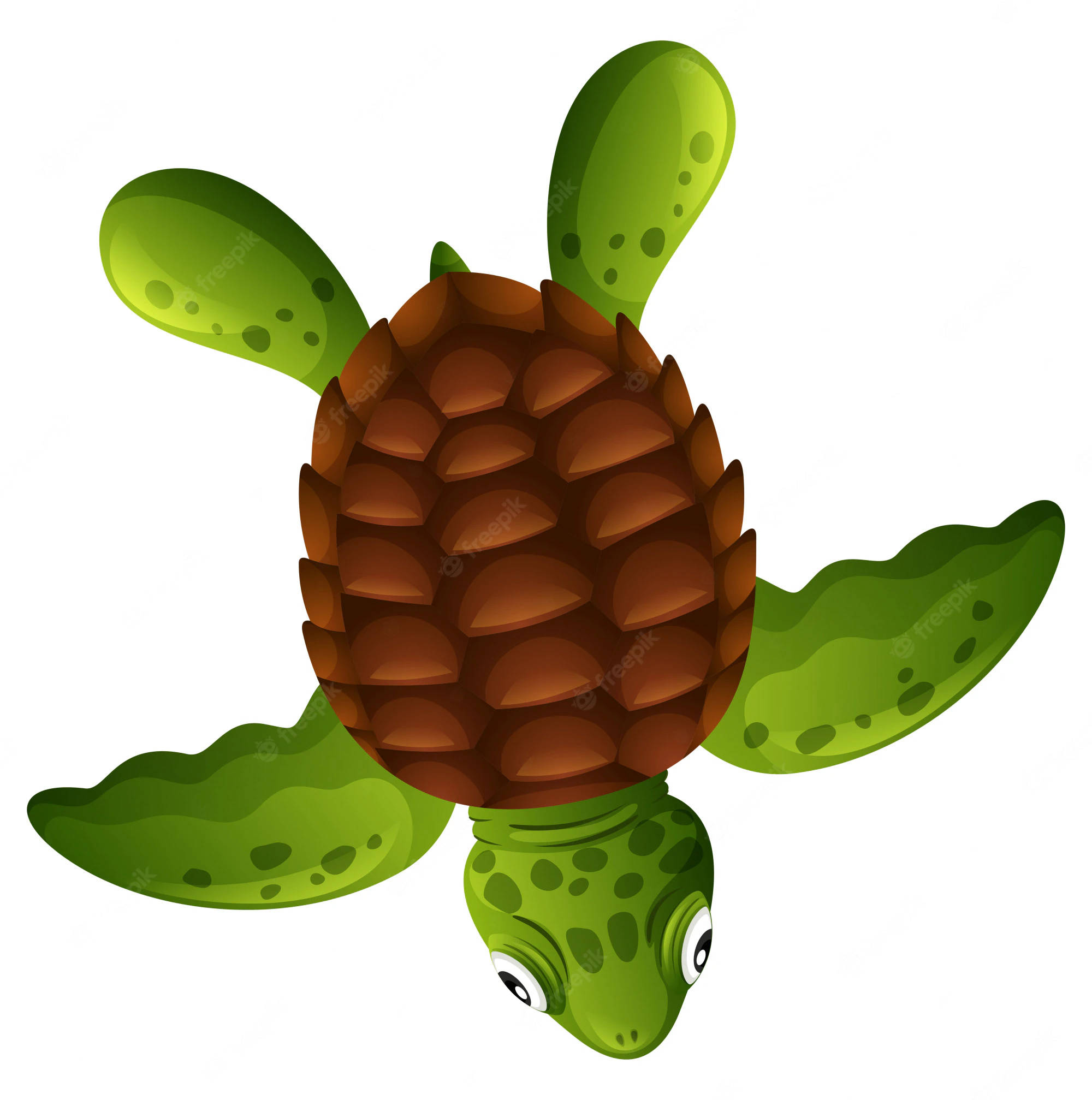 brown shell, cartoon turtle, pinecone shell, Full HD Phone Wallpaper