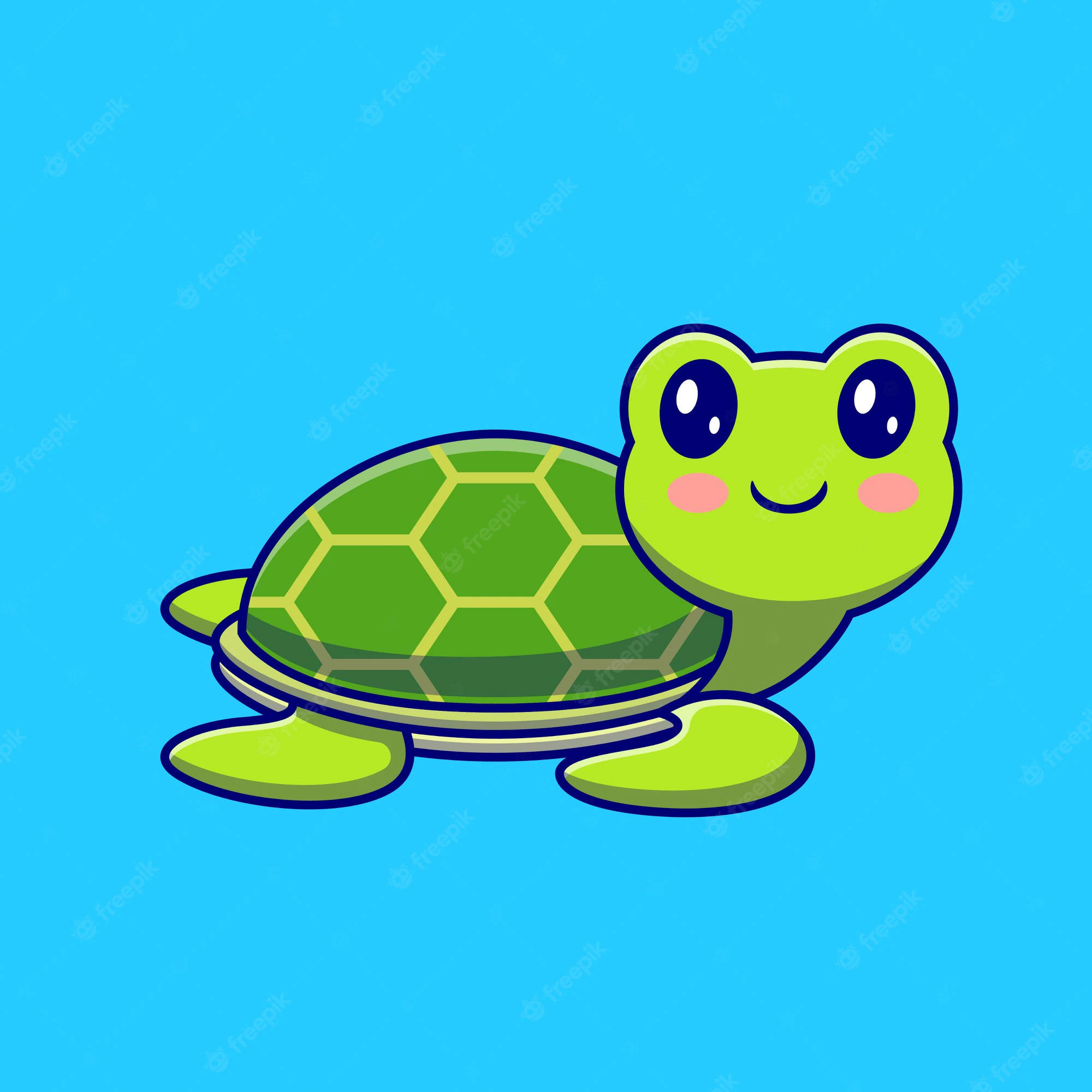 cartoon turtle, big eyes, smile, Full HD Desktop Wallpaper