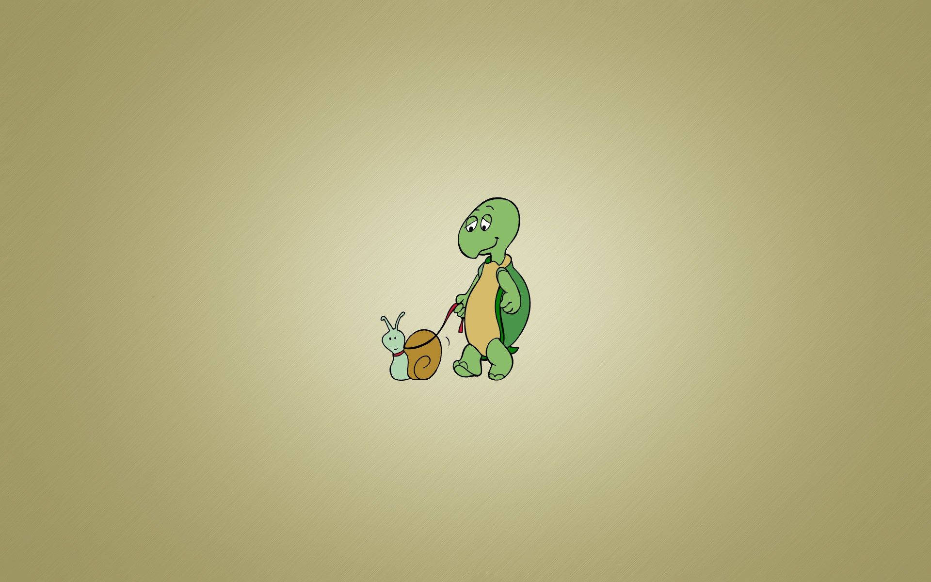 cartoon turtle, green cartoon turtle, snail, Full HD Desktop Wallpaper