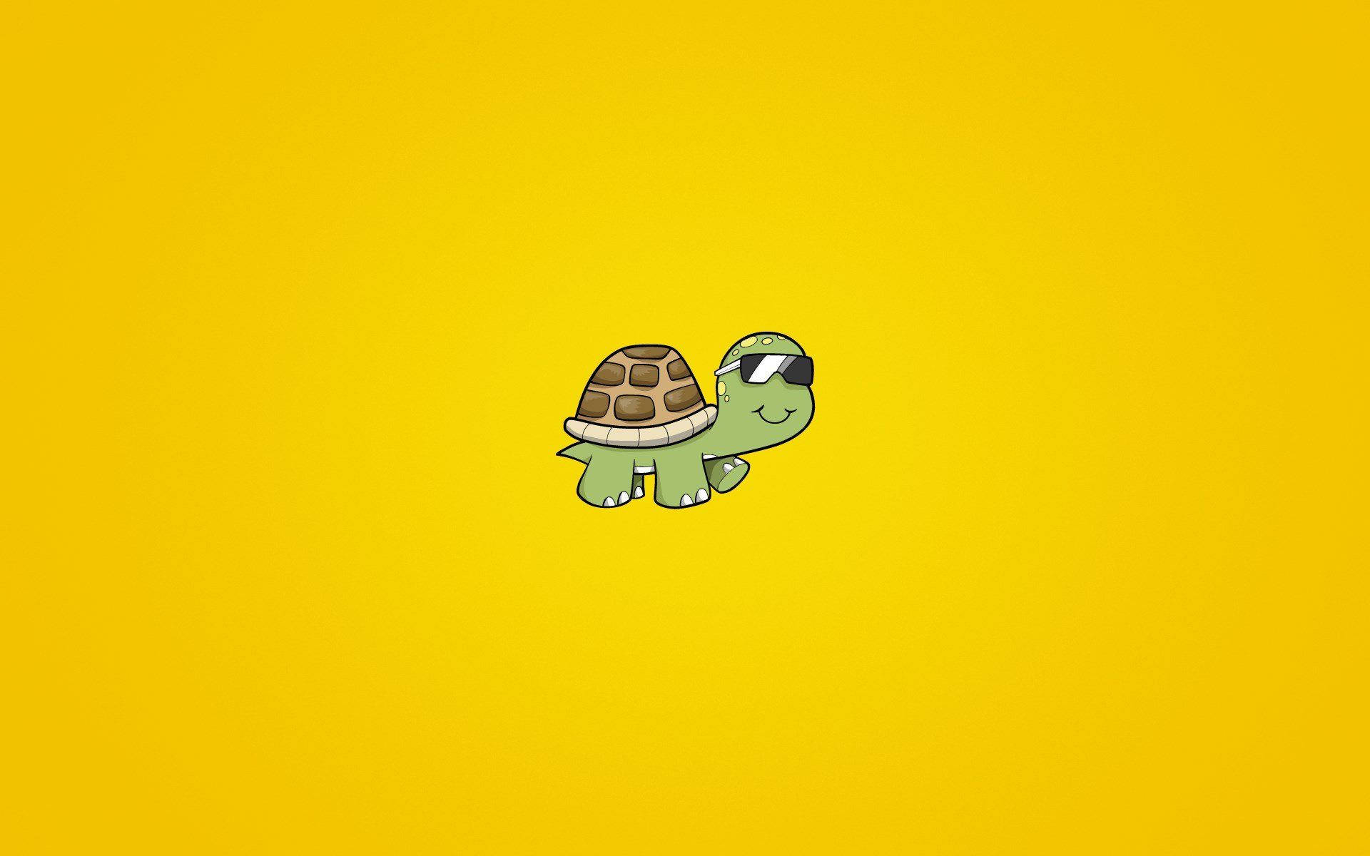 cartoon turtle, sunglasses, yellow background, Full HD Desktop Wallpaper