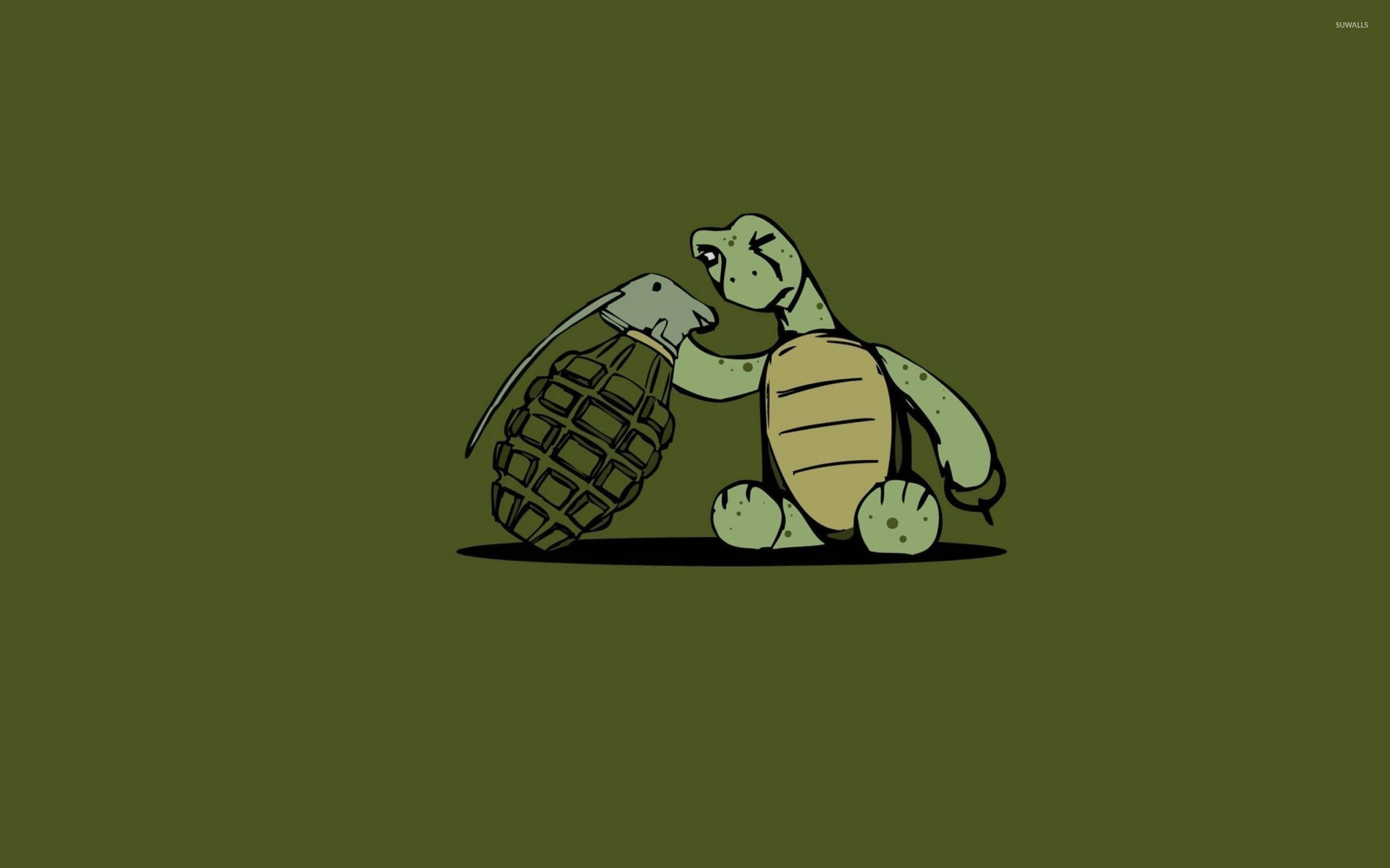 grenade, cartoon turtle, olive green, 2K Desktop Wallpaper