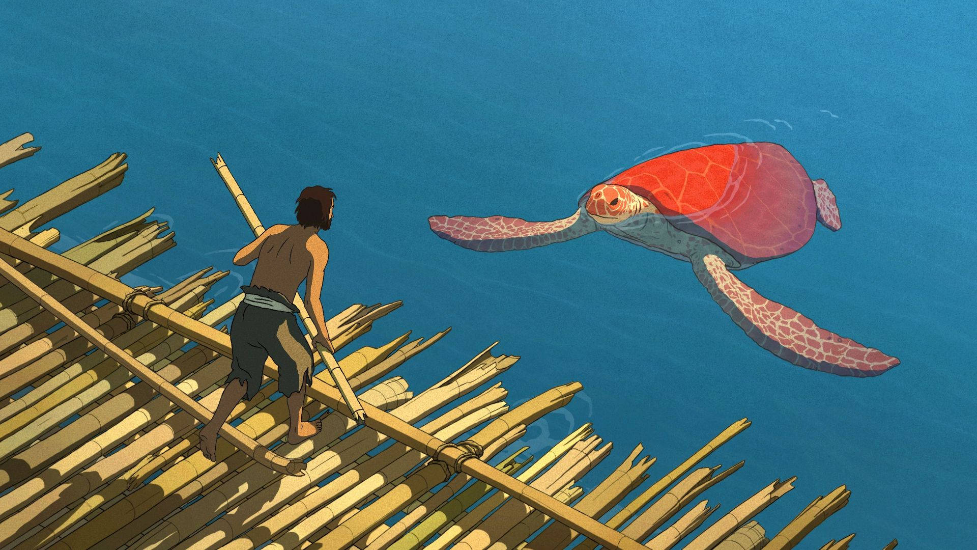 red cartoon turtle, bamboo raft, vibrant red sea turtle, Full HD Desktop Wallpaper