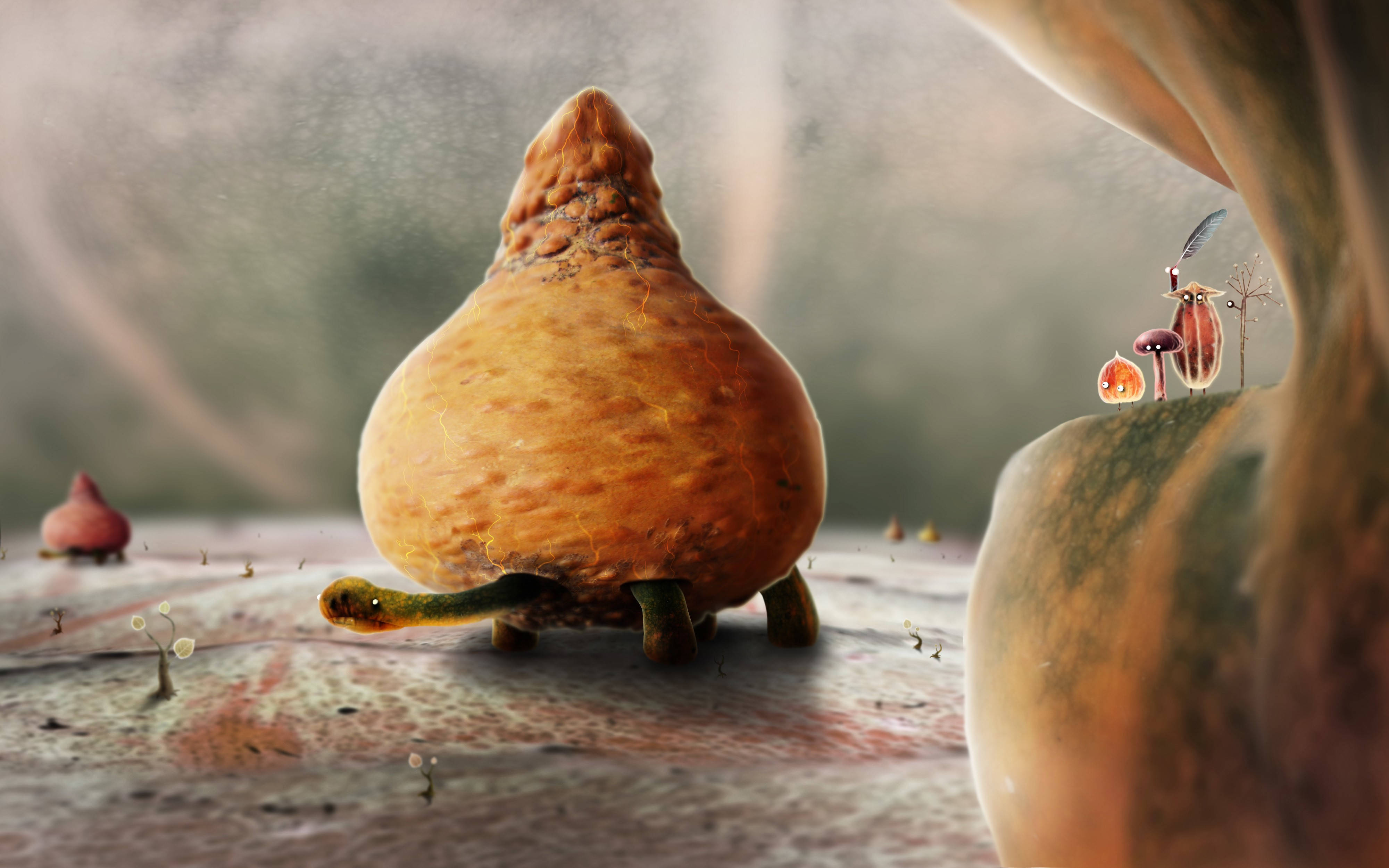 unique cute turtle, orange turtle, textured shell, 4K Desktop Wallpaper
