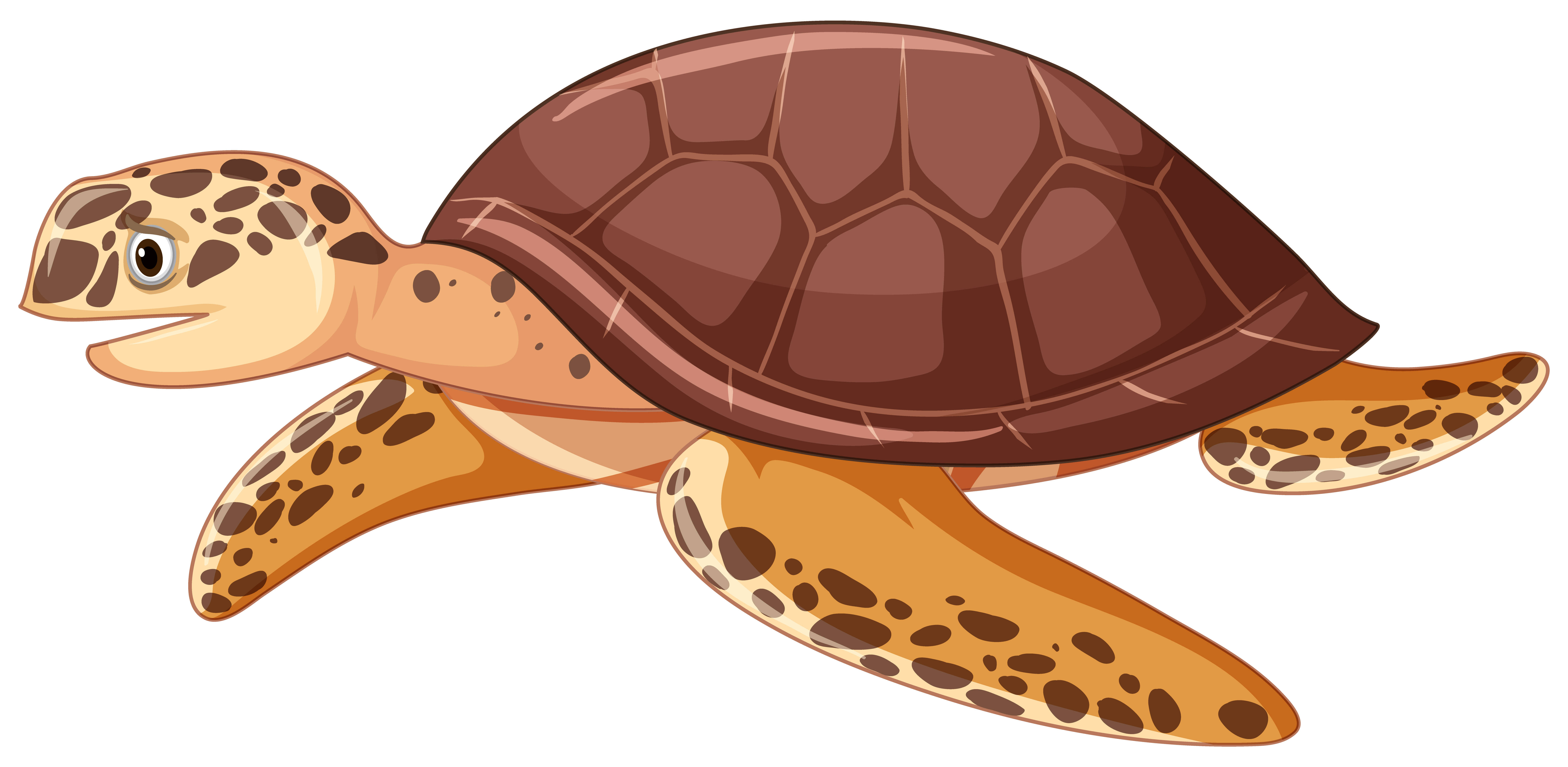 big brown cartoon turtle, cartoon sea turtle, brown shell, 5K Desktop Wallpaper