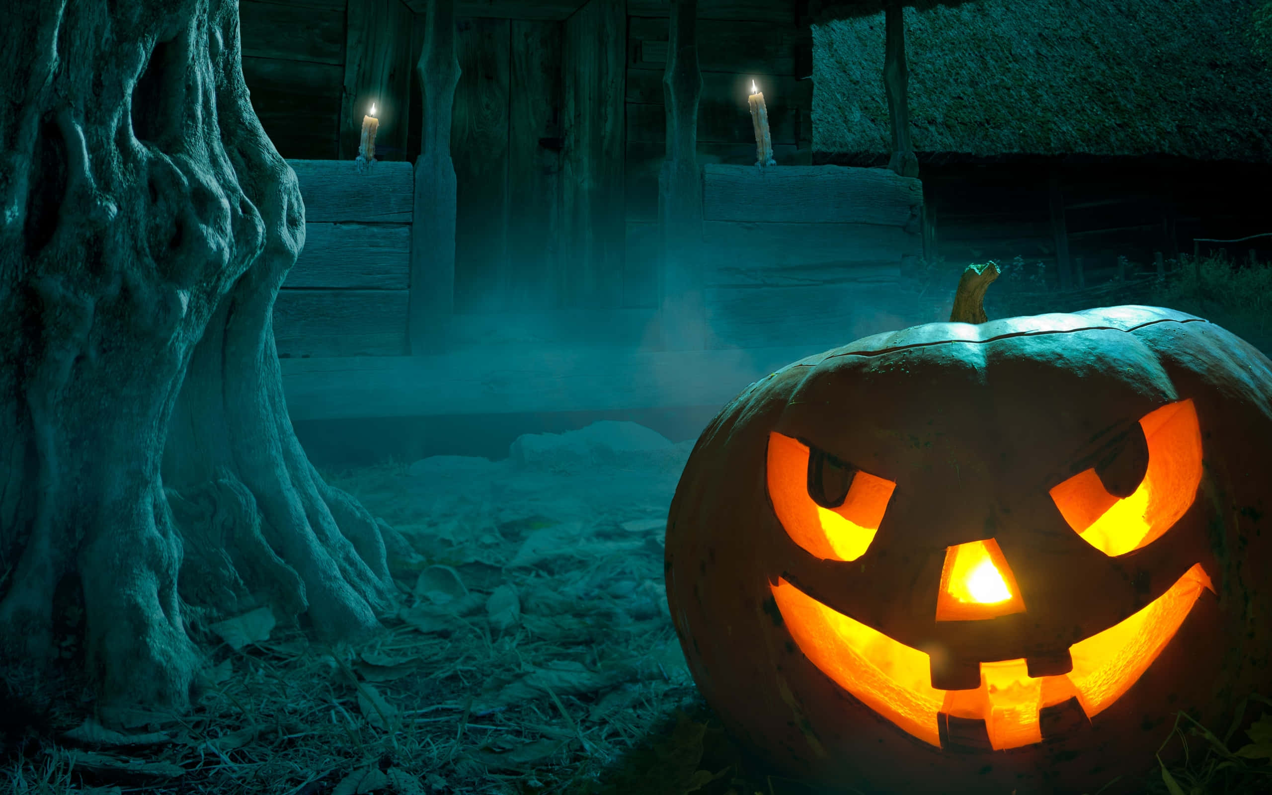 Cute Carved Pumpkin Misty, jack-o'-lantern, misty graveyard, 2K Desktop Wallpaper