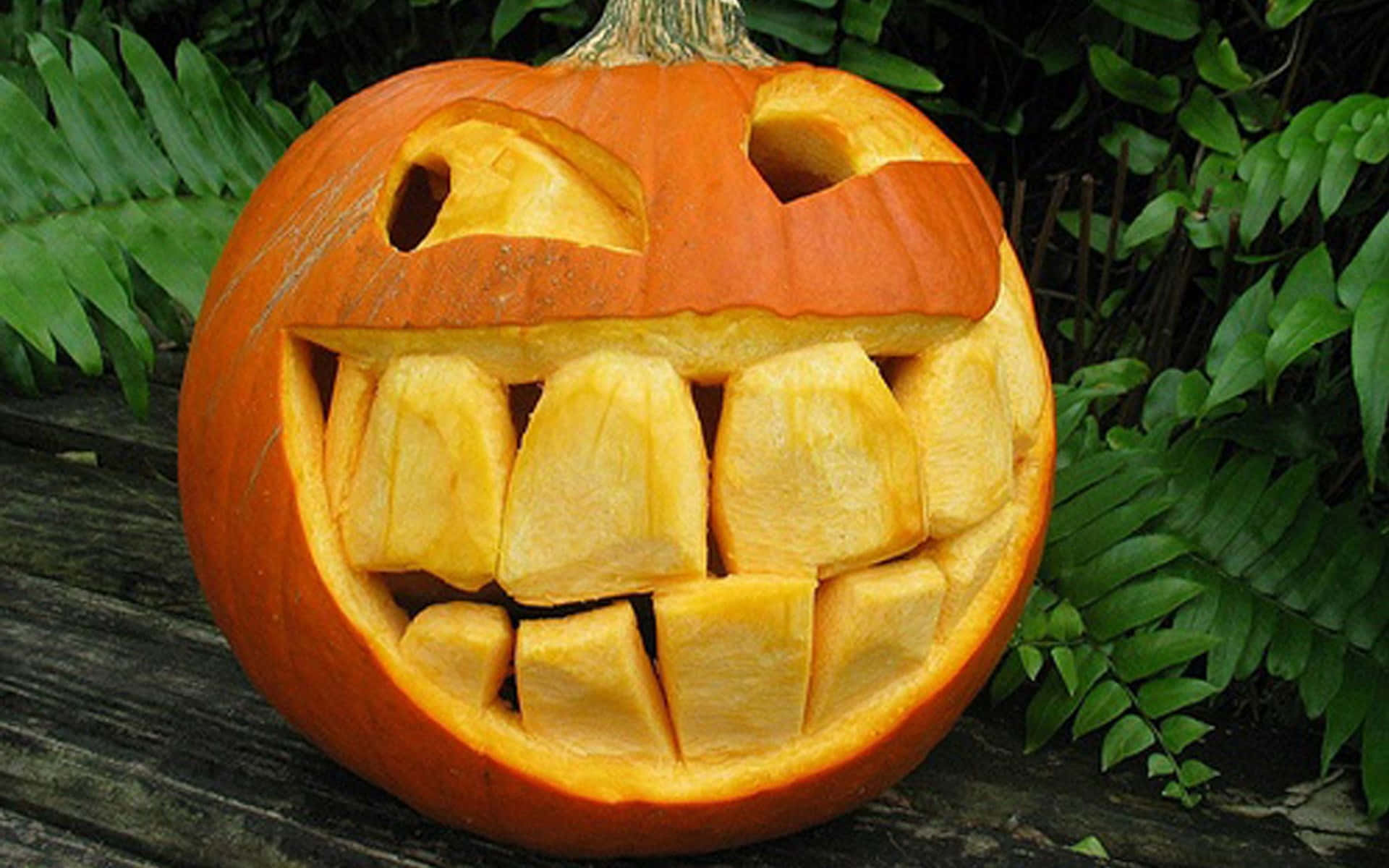 carved pumpkin, silly grin, orange pumpkin, Full HD Desktop Wallpaper