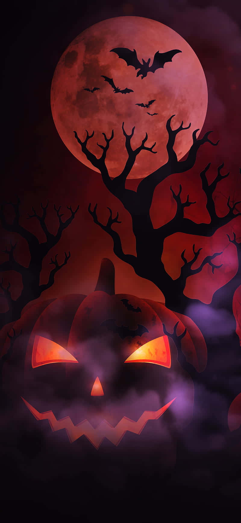 Carved Pumpkin, Halloween Bats, glowing jack-o'-lantern, HD Phone Wallpaper