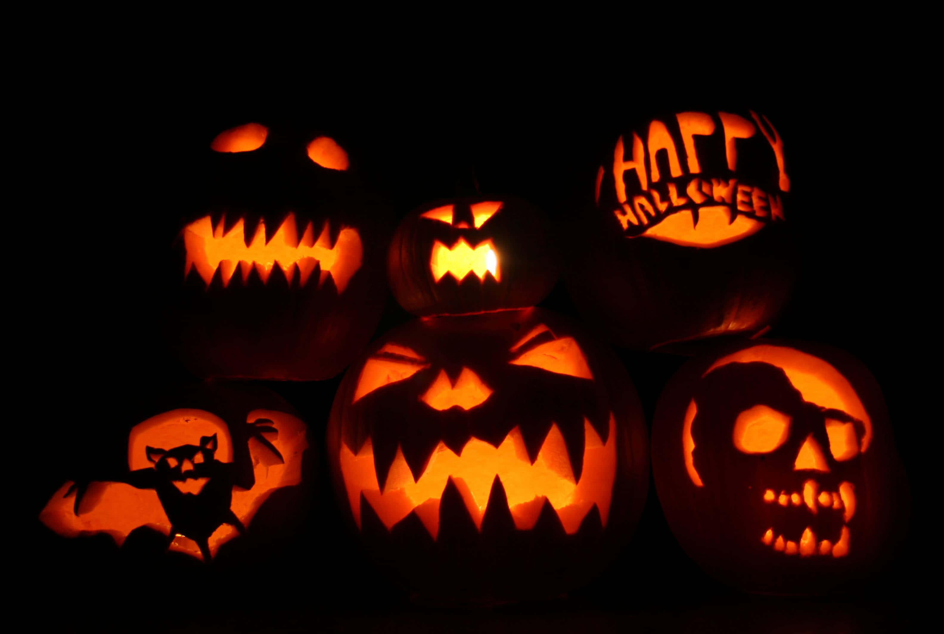 Carved Pumpkin, jack-o'-lanterns, fierce carved faces, 2K Desktop Wallpaper