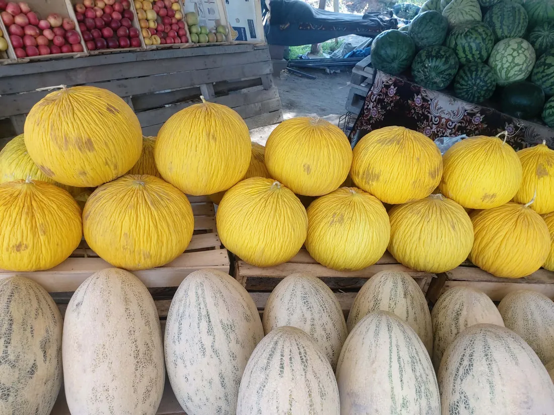 Casaba Melon