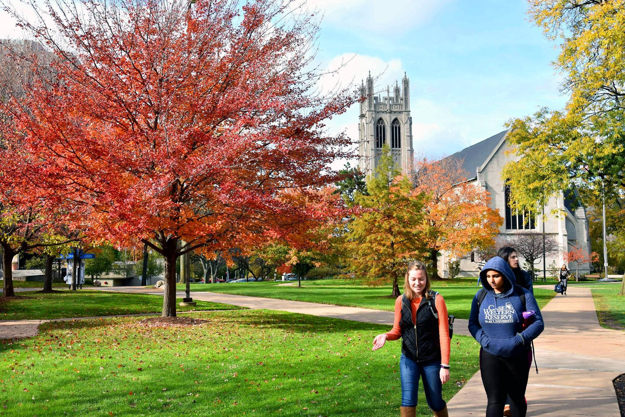 Case Western Reserve University, campus grounds, autumn tree, Full HD Desktop Wallpaper