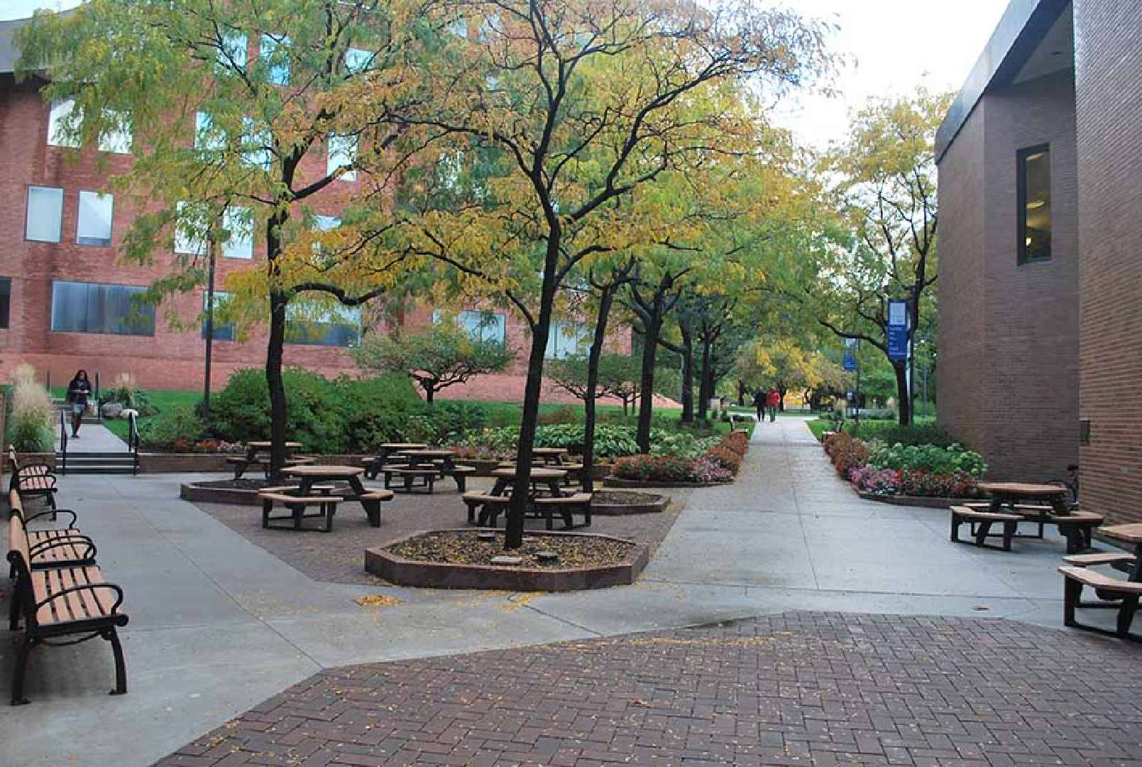 Case Western Reserve University, autumn, brick buildings, HD Desktop Wallpaper