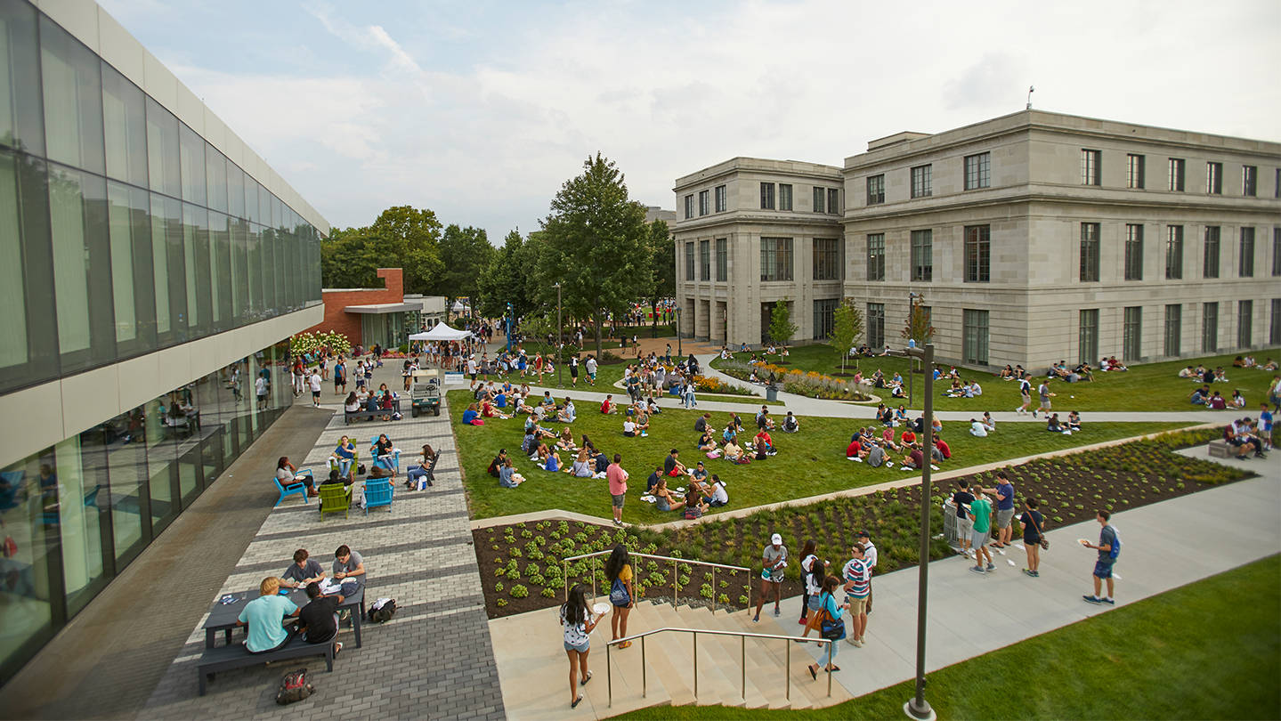 Case Western Reserve University, quad, vibrant green campus, HD Desktop Wallpaper