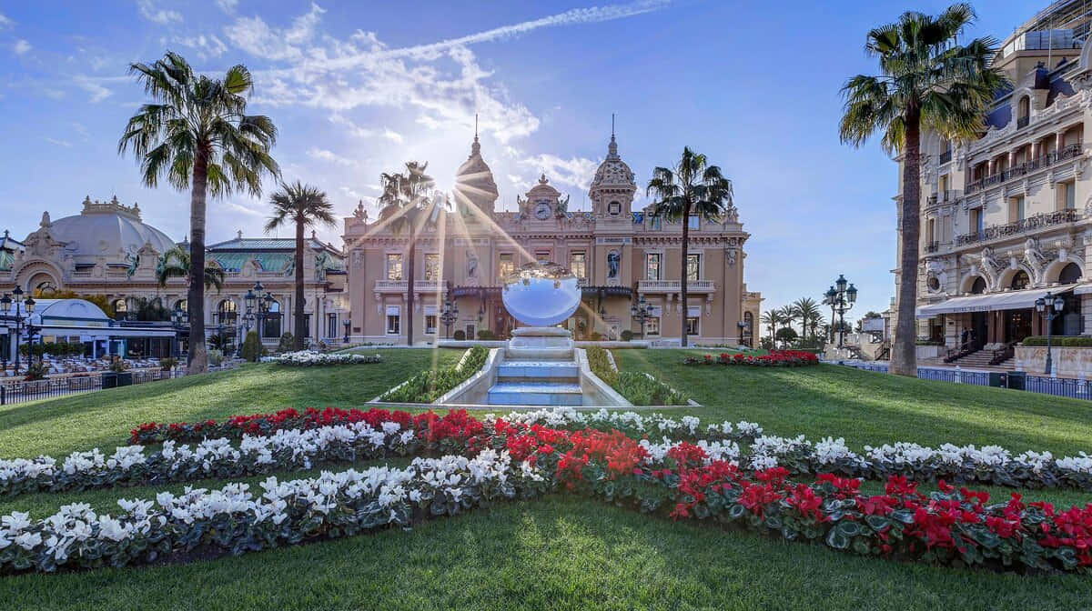 Casino De Monte Carlo, Monte Carlo Casino, palm trees, SD Desktop Wallpaper