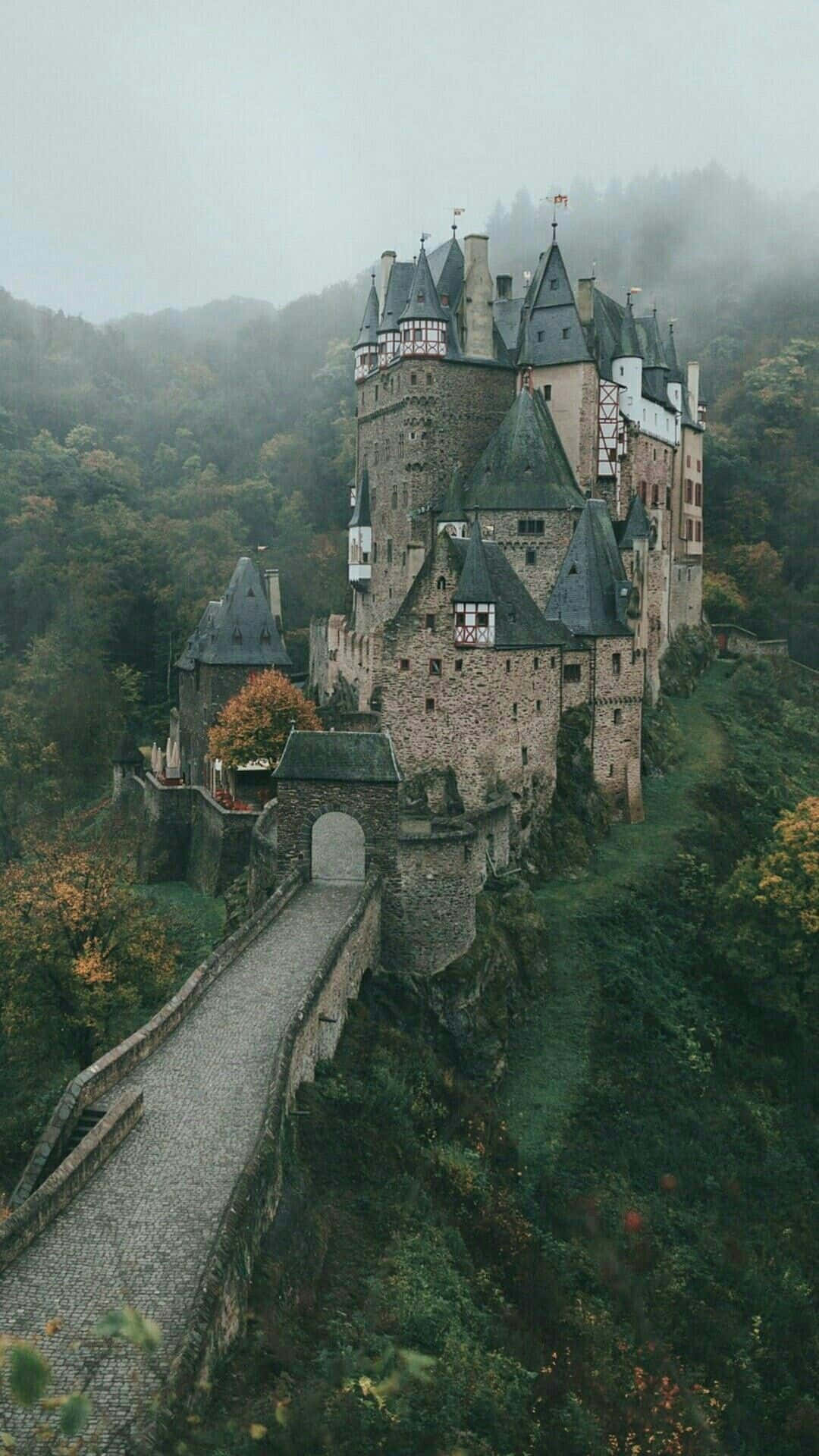 medieval castle, cliffside, dense forest, Full HD Phone Wallpaper