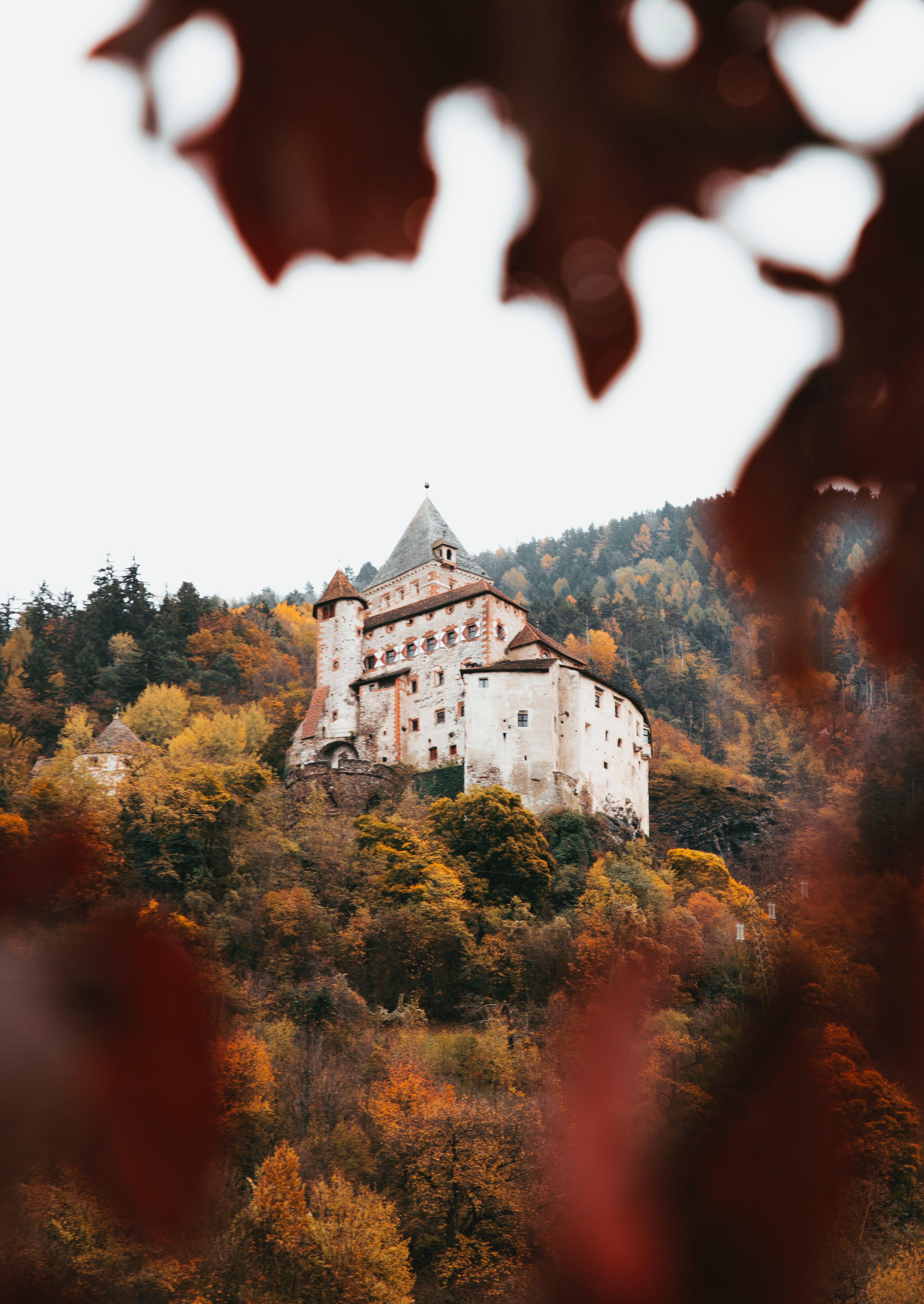 medieval castle, forested hillside, autumn leaves, 5K Phone Wallpaper