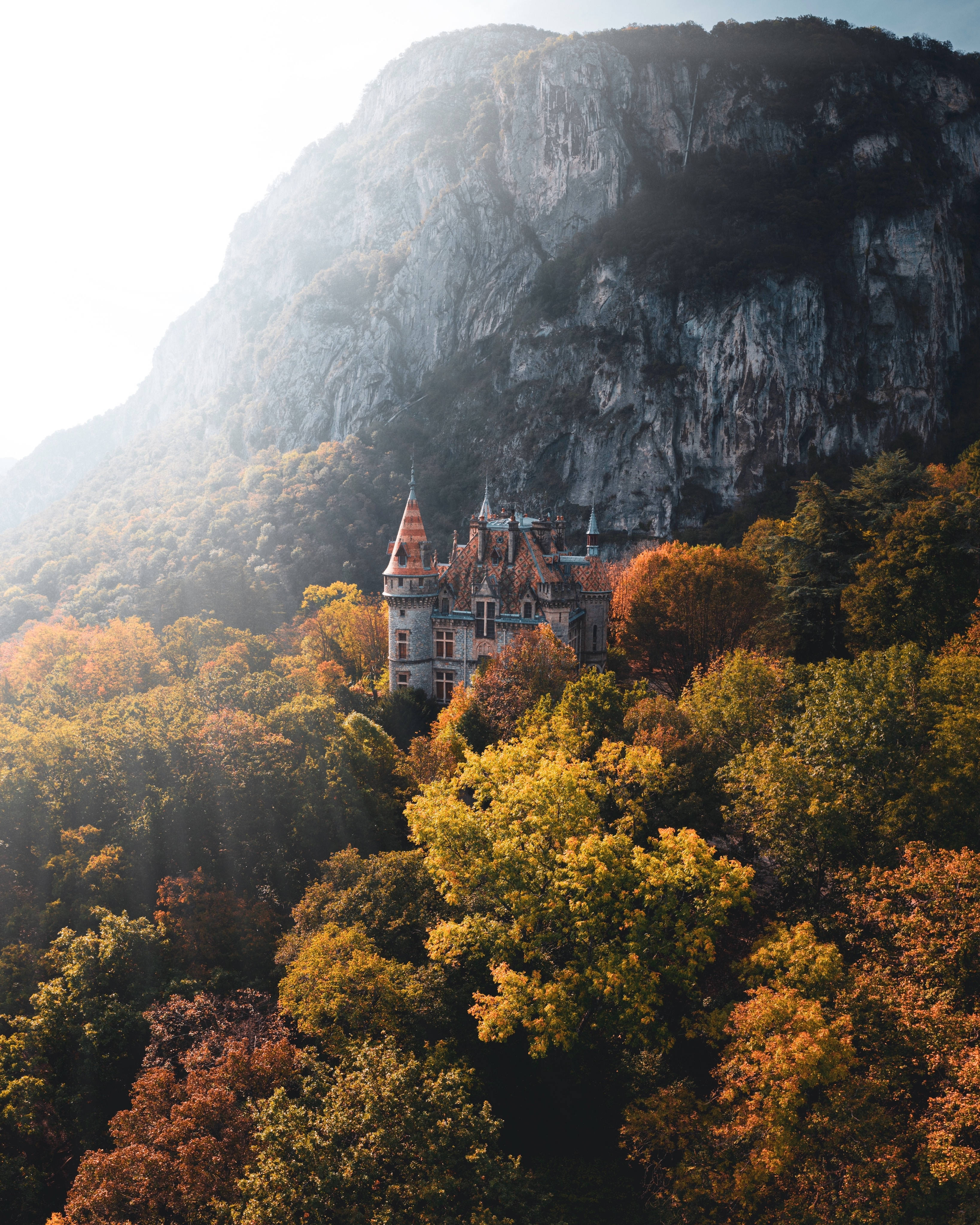 Castle, forest, autumn light, 4K Phone Wallpaper