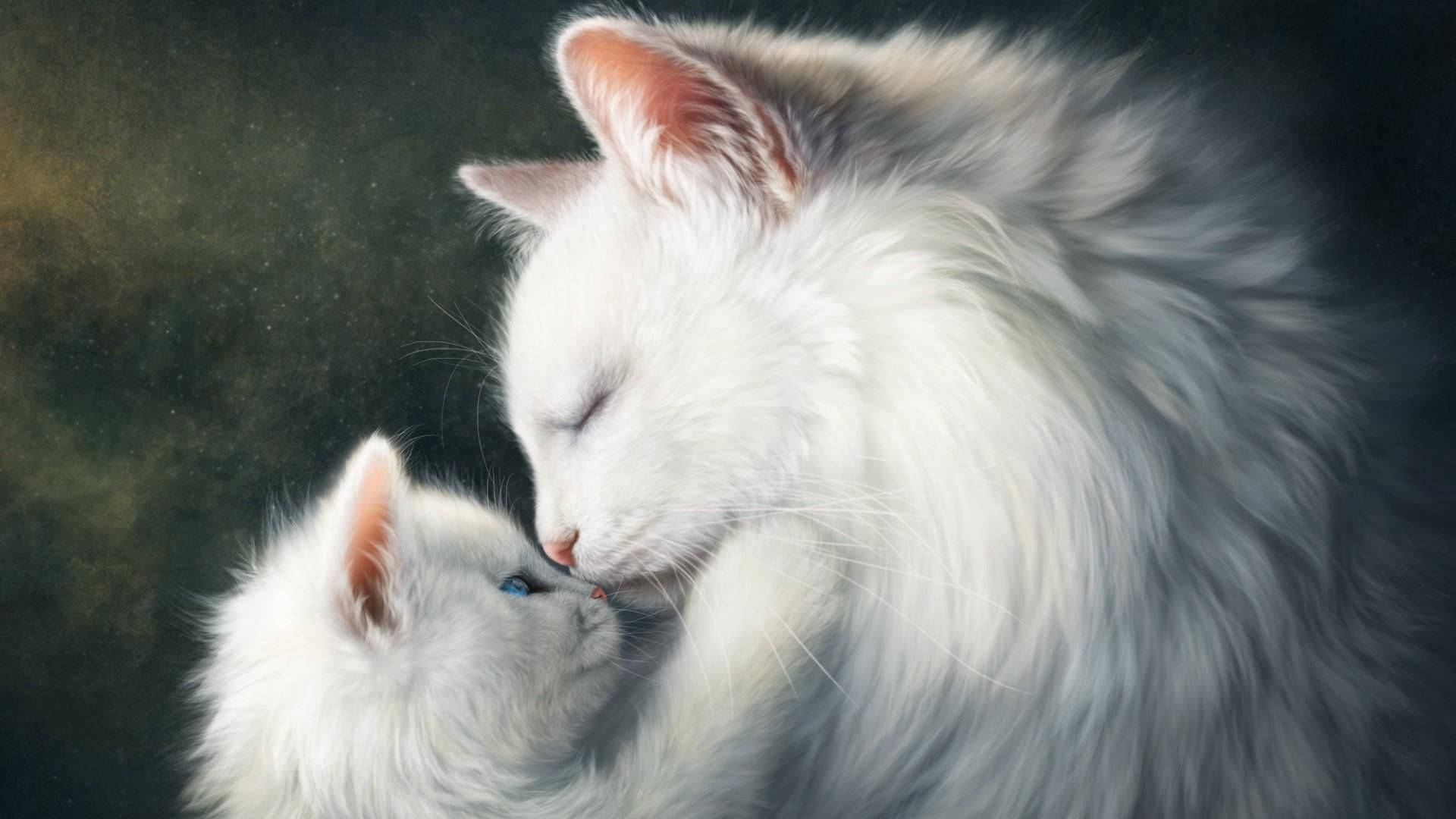 Cat Art, white cloud cats, fluffy white mother cat, Full HD Desktop Wallpaper