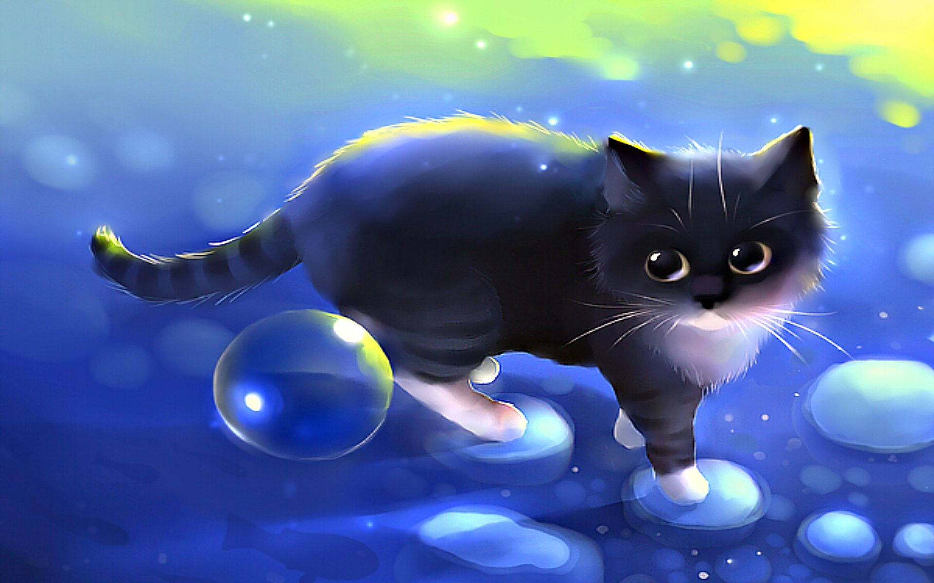black cat, white paws, glowing blue orbs, Full HD Desktop Wallpaper