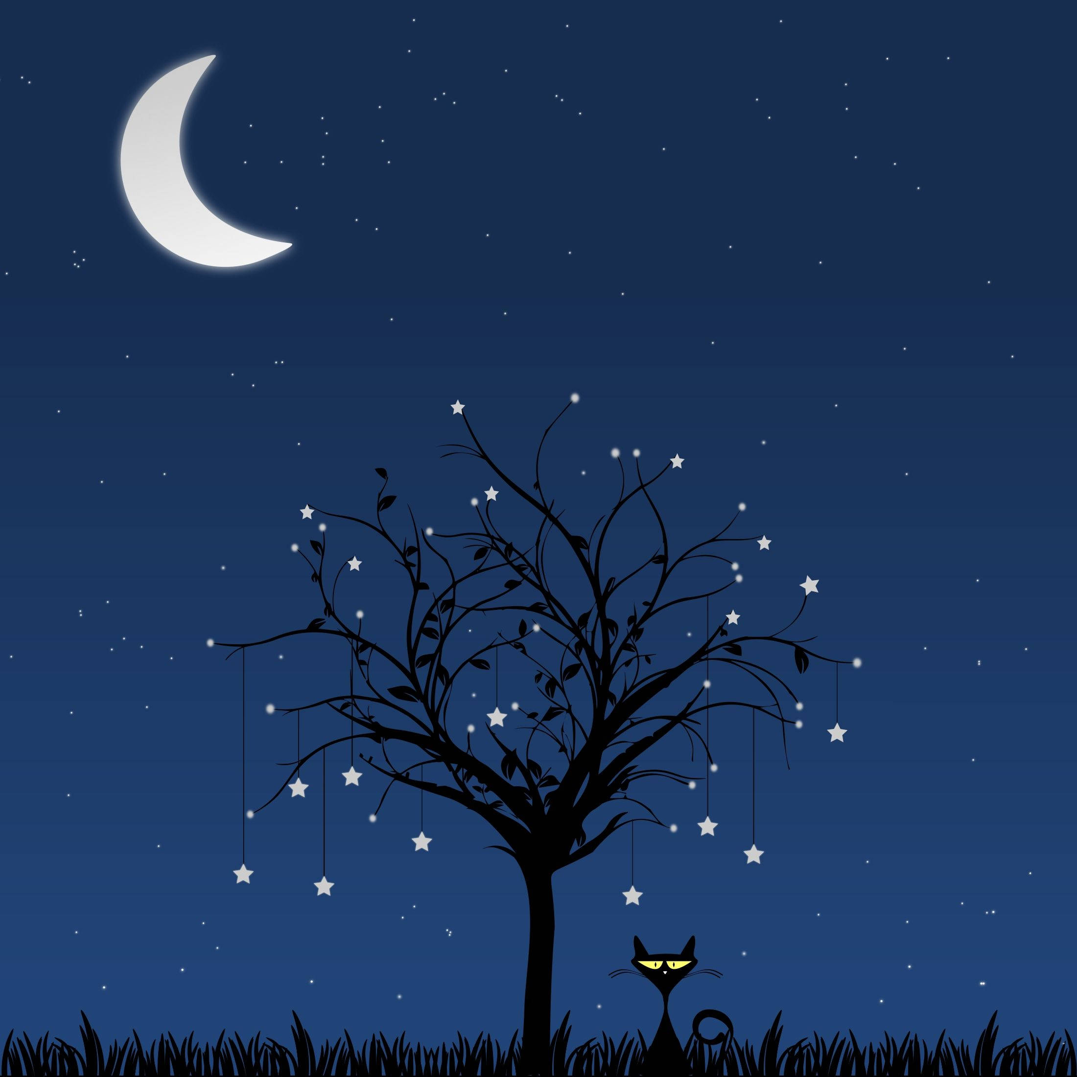 black cat, crescent moon, stars, Full HD Desktop Wallpaper