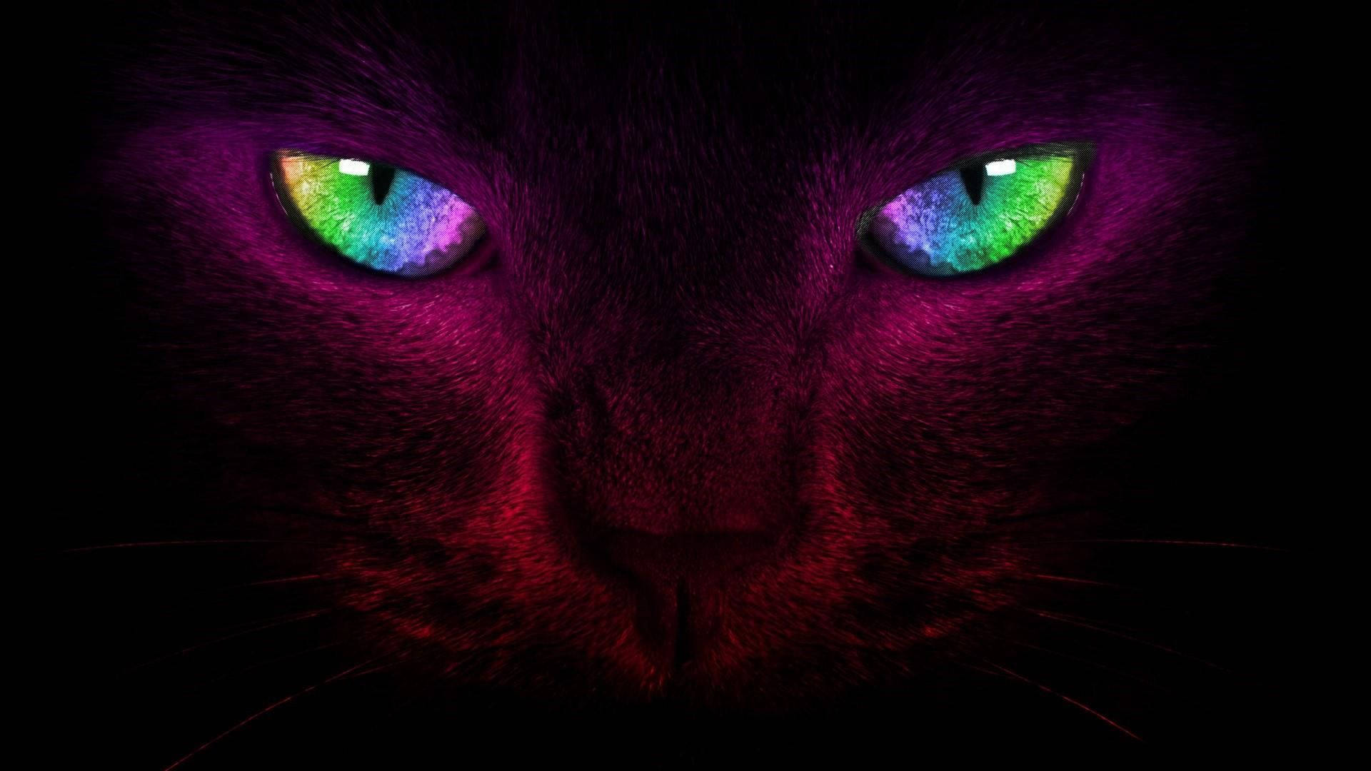 cat art, multi coloured neon eyes, black cat, Full HD Desktop Wallpaper