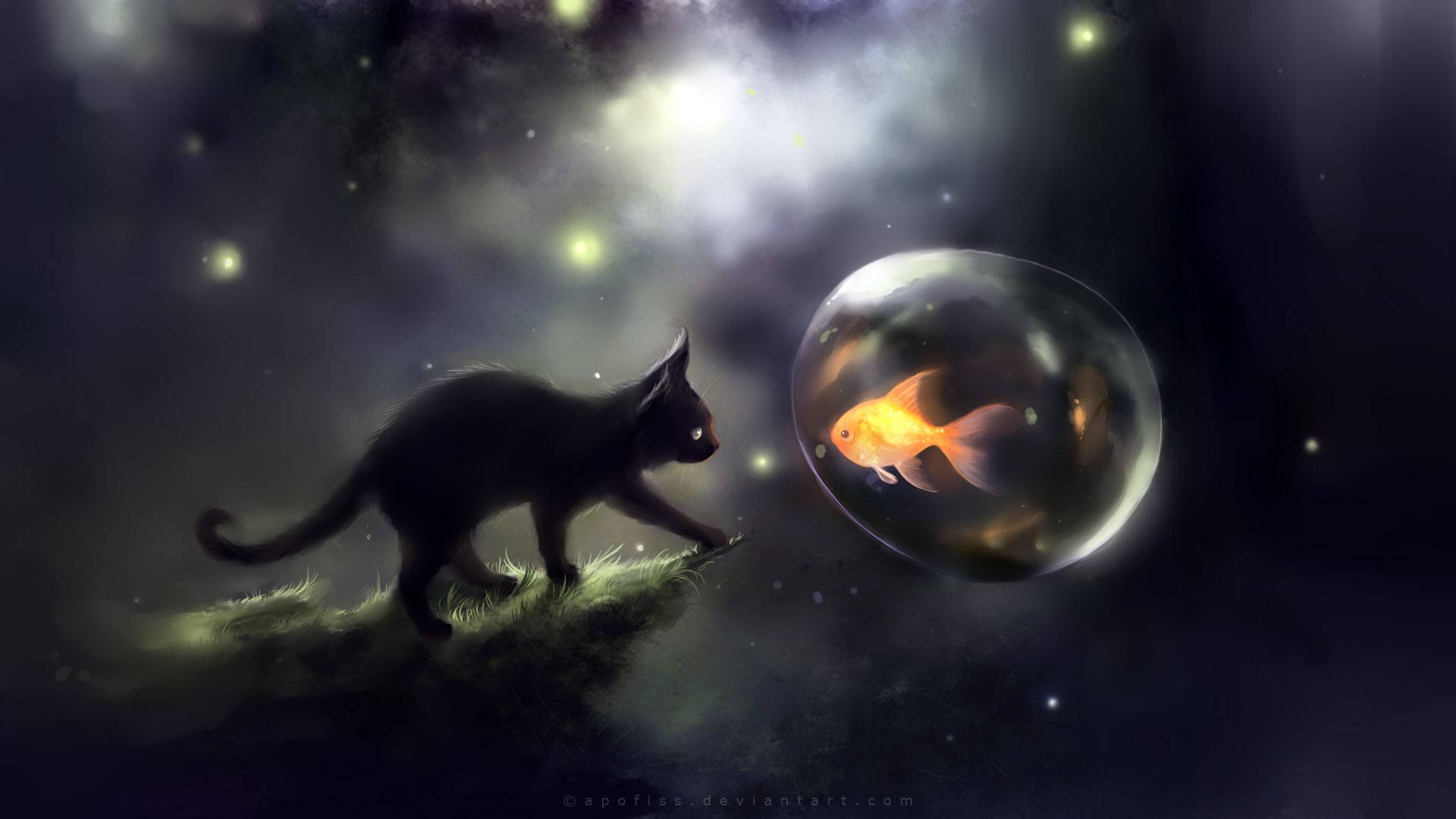 black cat, glowing bubble, golden fish, Full HD Desktop Wallpaper
