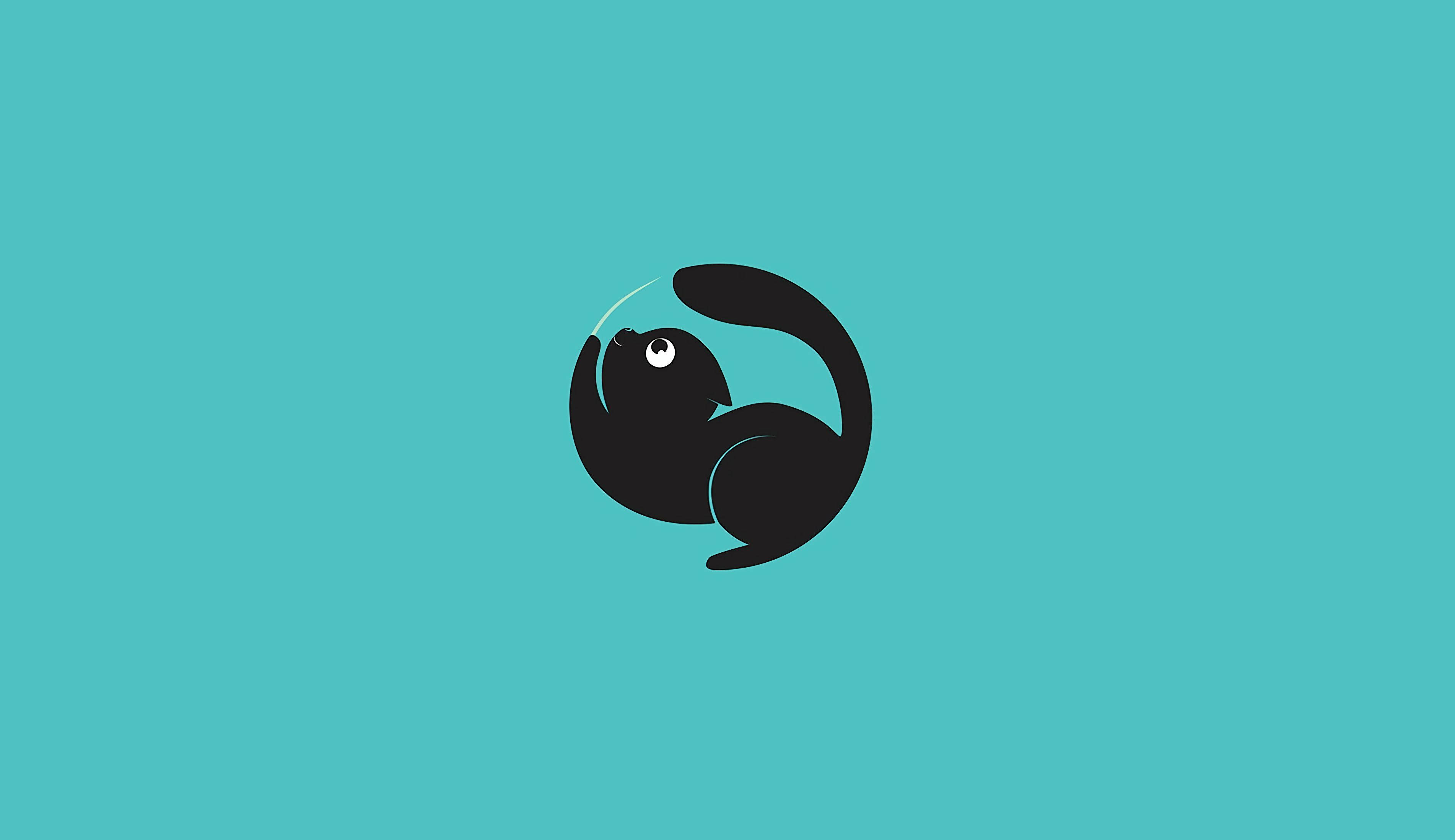 black cat, computer lock screen, minimalist, 2K Desktop Wallpaper
