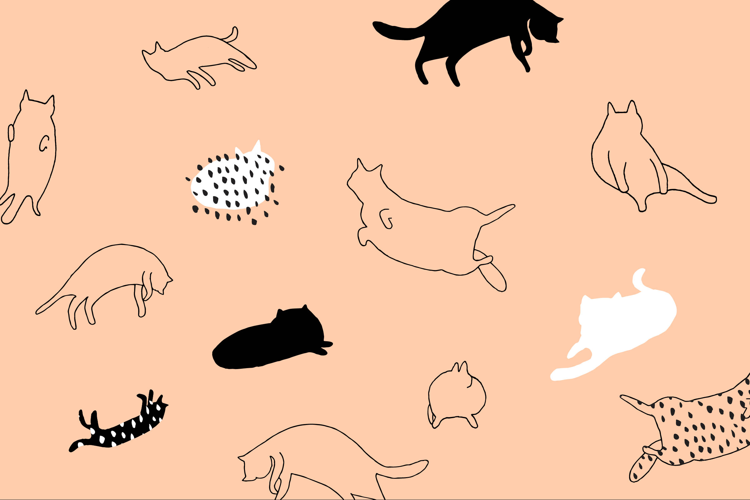 cat art, minimalist outline illustration, black white, Full HD Desktop Wallpaper