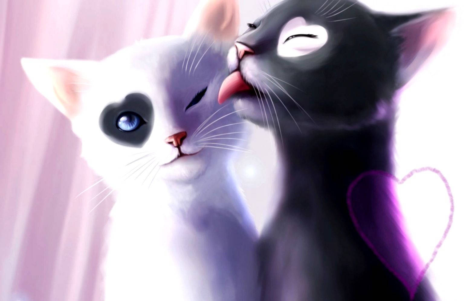 anime cats, cuddling, cute laptop, HD Desktop Wallpaper