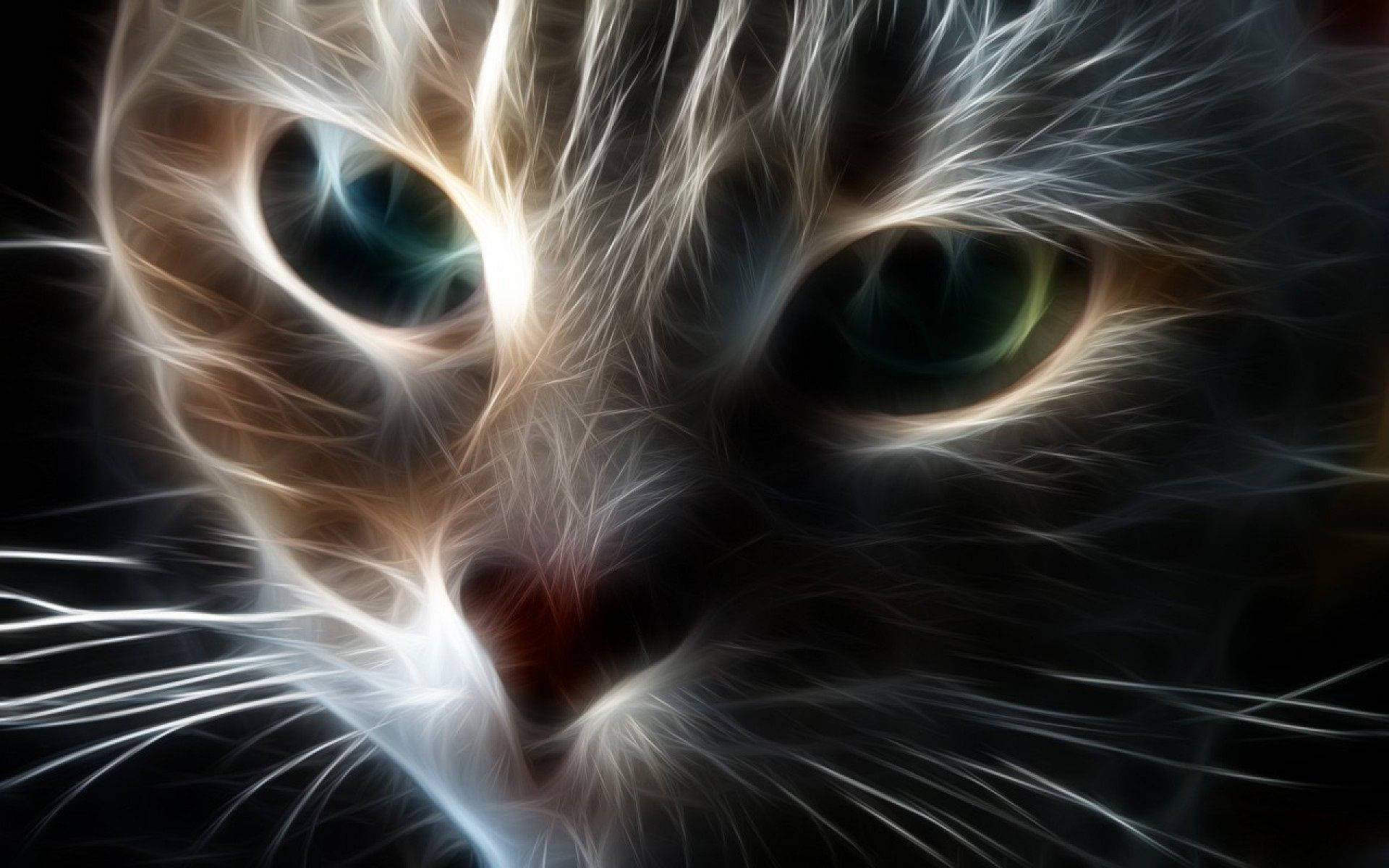 cat art, circular brush stroke pattern, glowing eyes, Full HD Desktop Wallpaper