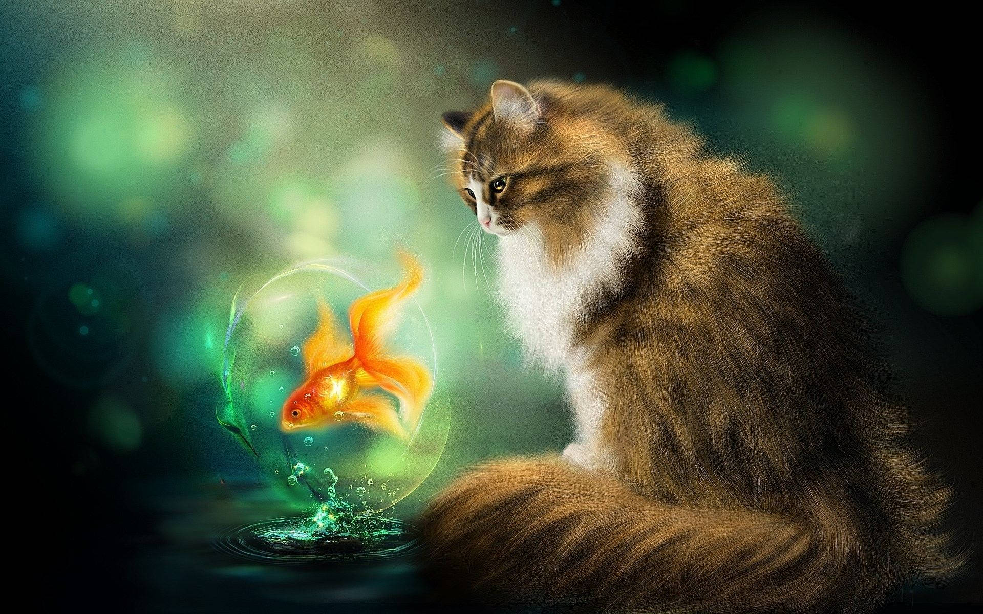 brown cat, glowing orange goldfish, glass bowl, Full HD Desktop Wallpaper