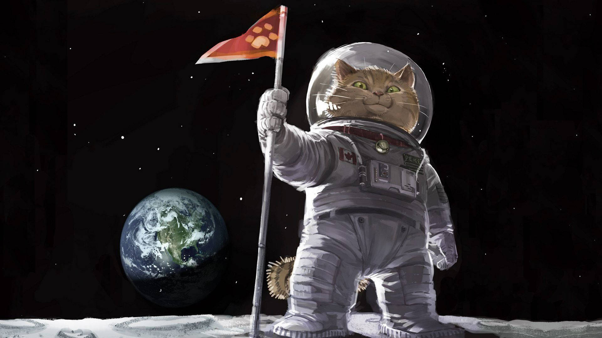 cat astronaut, paw-print flag, moon, Full HD Desktop Wallpaper