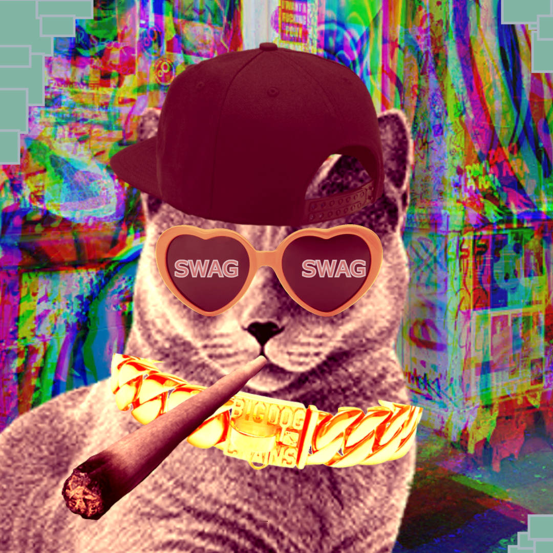 cat, cap, heart-shaped SWAG sunglasses, SD Desktop Wallpaper