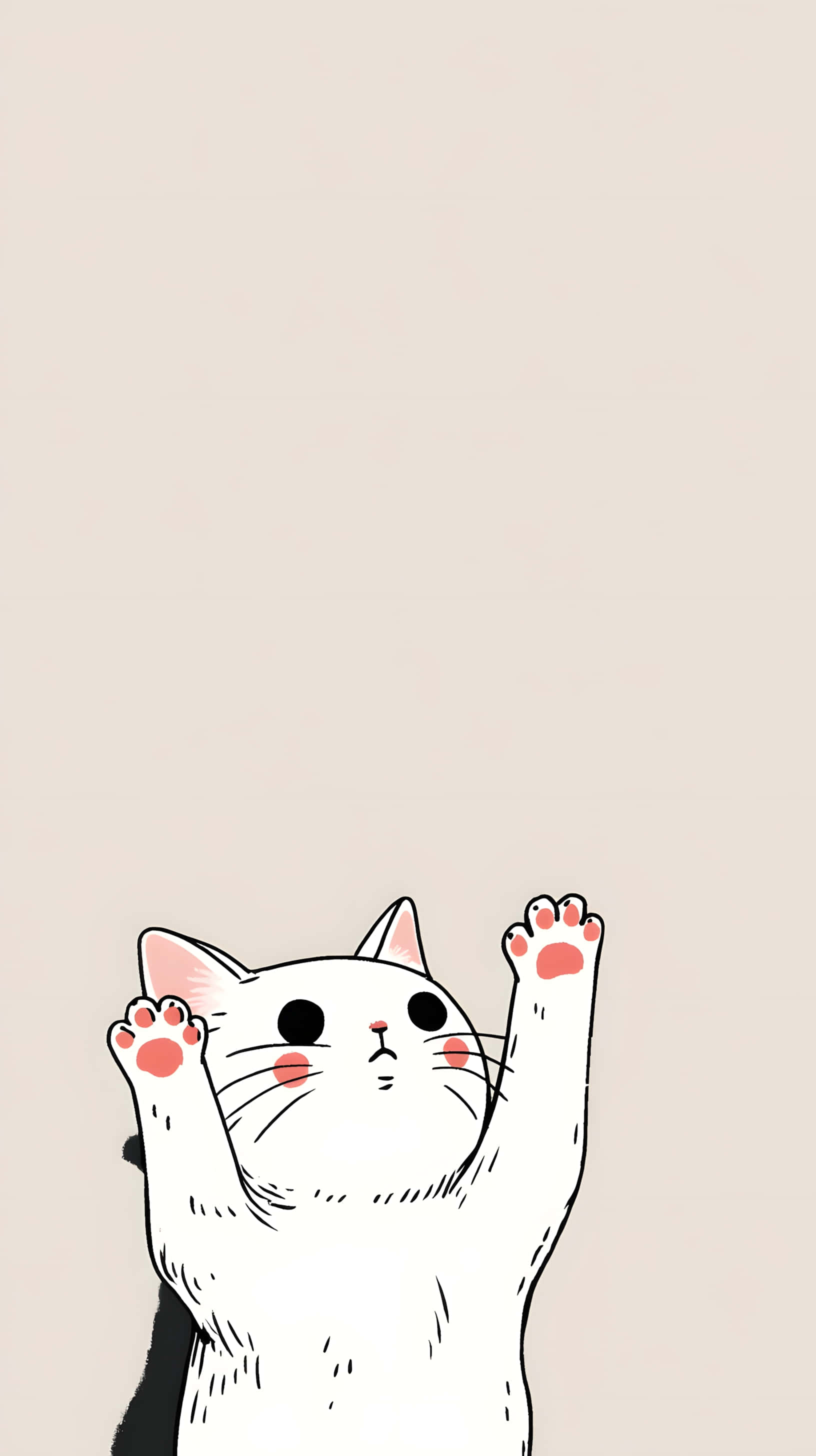 cute white cat, pink paws, pink cheeks, 2K Phone Wallpaper