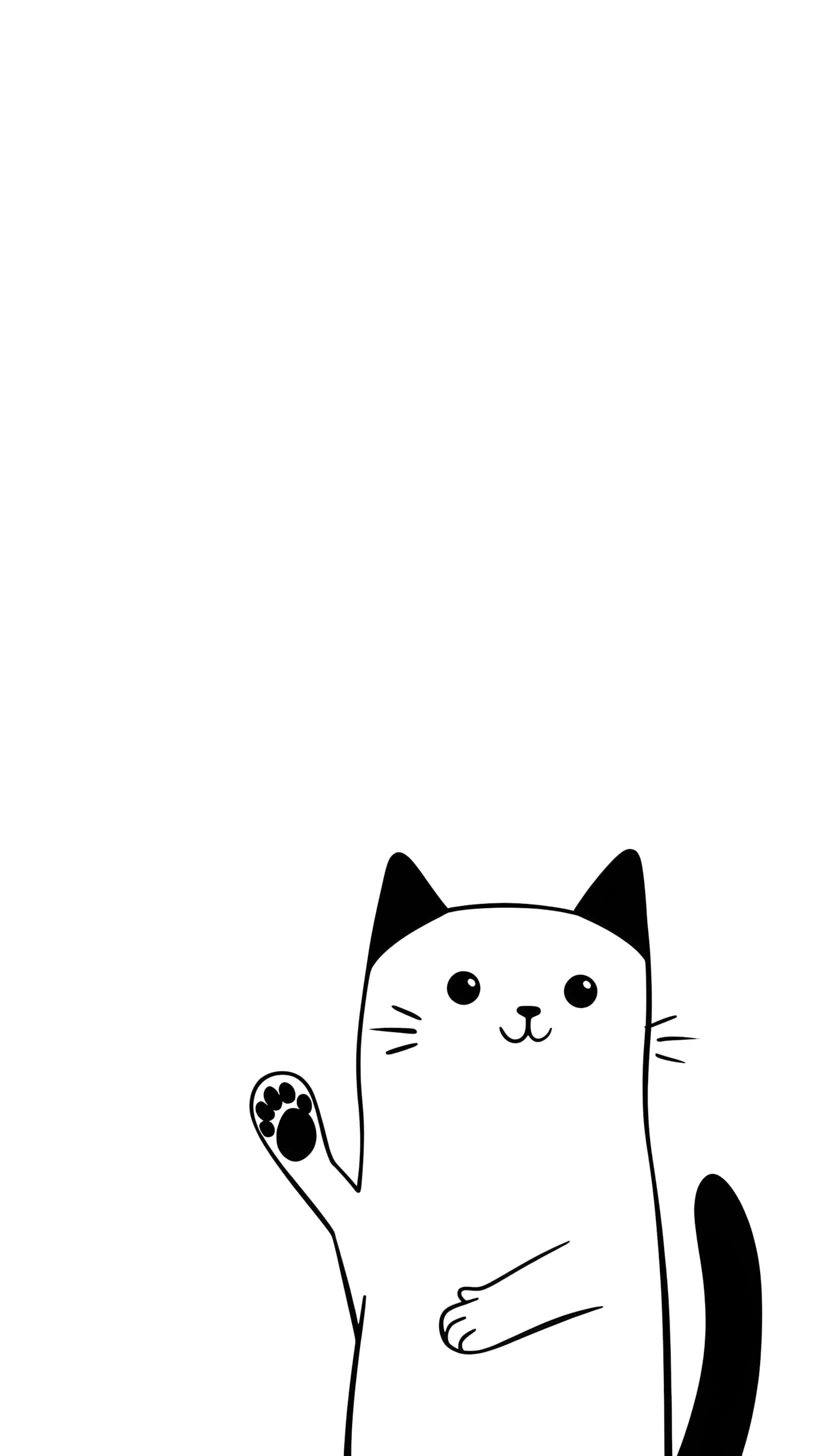 black and white cat, waving one paw, minimalist, 2K Phone Wallpaper