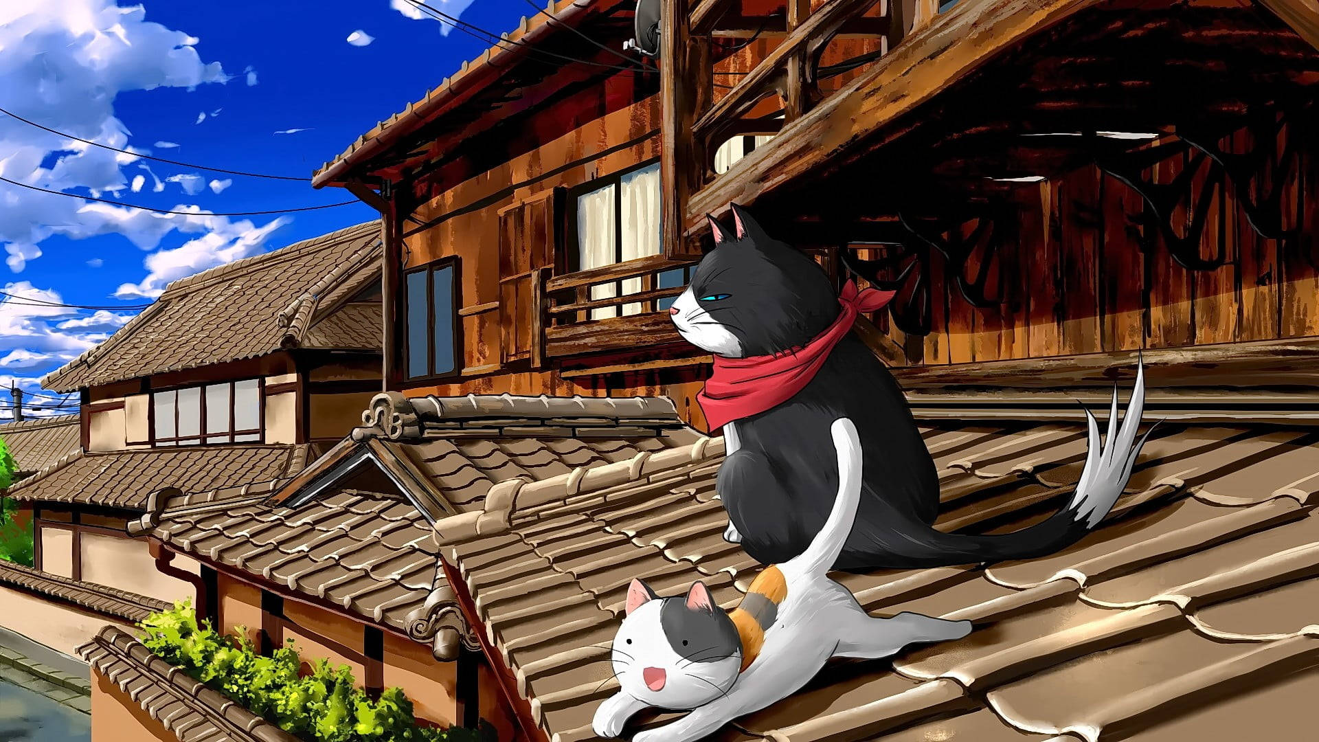 Cat Computer, roof, traditional tiled roof, Full HD Desktop Wallpaper