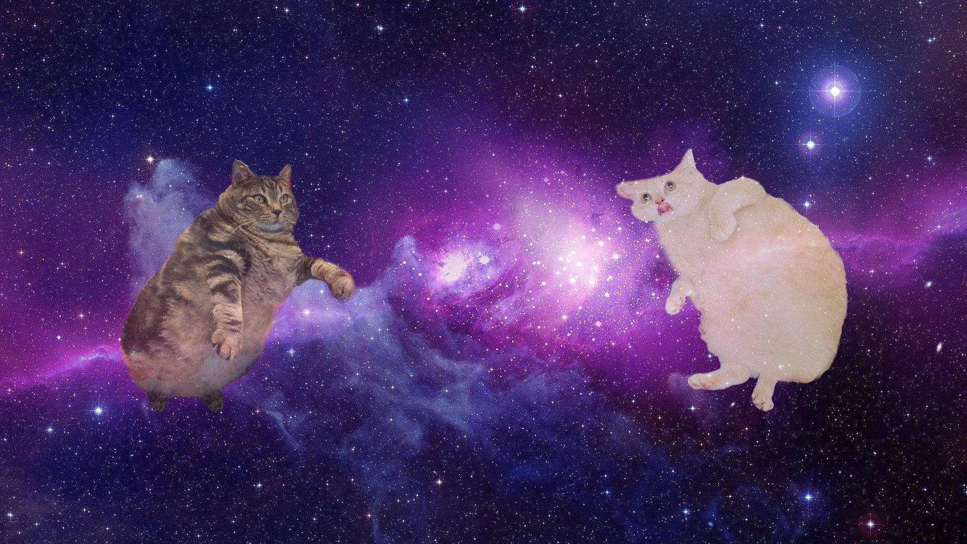 Cat Computer, space, vibrant purple, Full HD Desktop Wallpaper