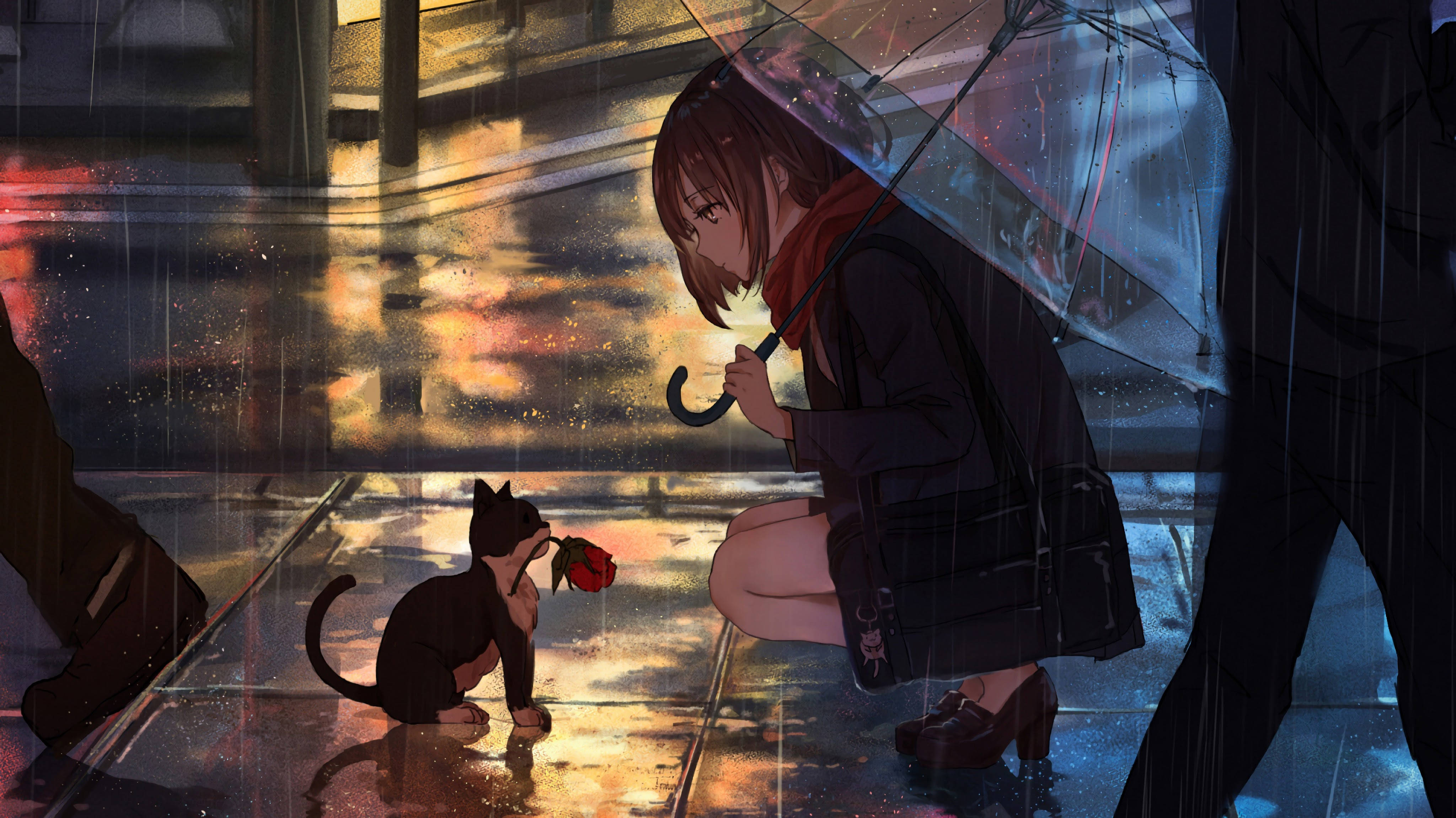 Red Rose, Cat Computer, black cat, 4K Desktop Wallpaper