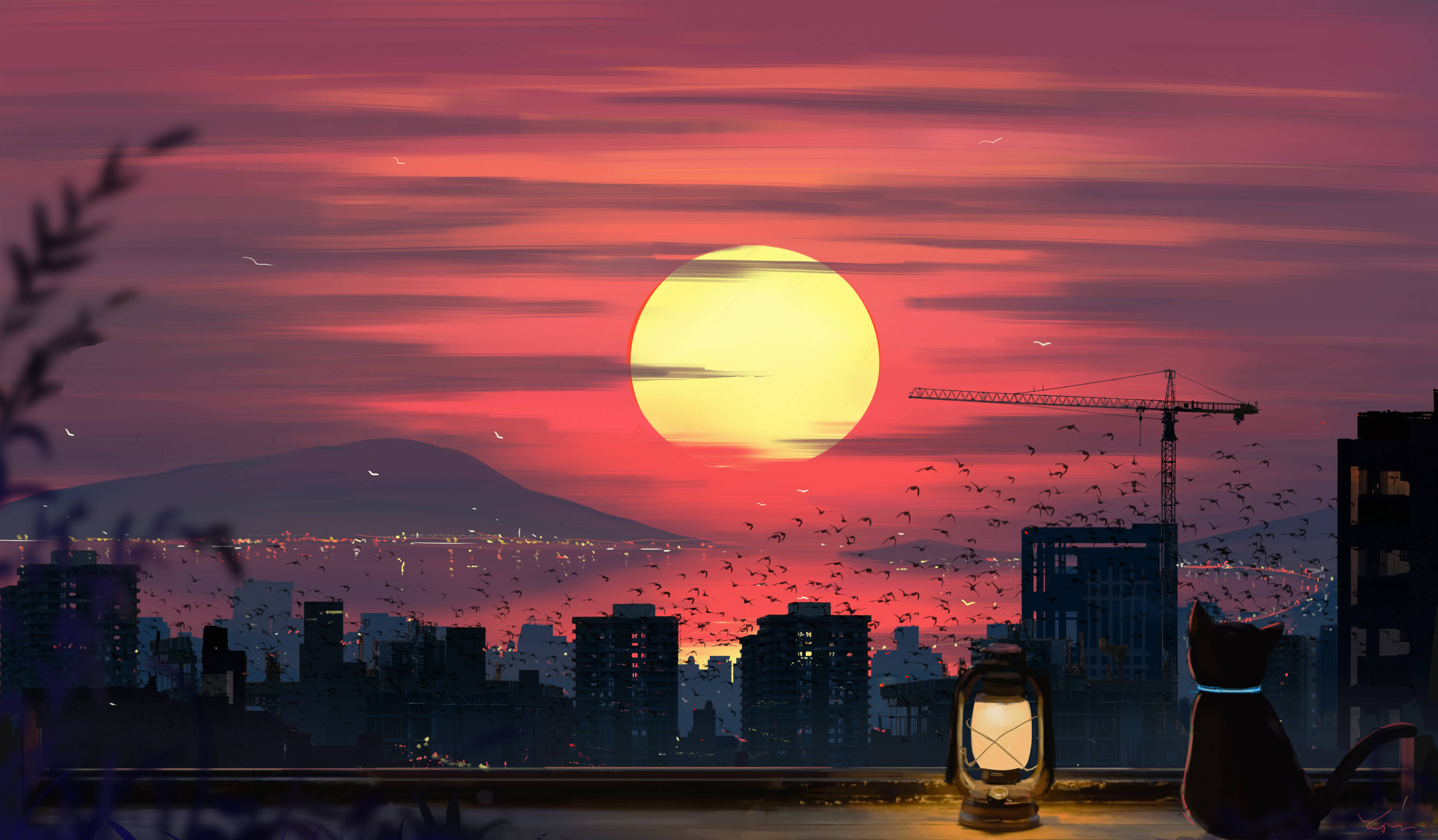 cat, glowing lantern, rooftop, 4K Desktop Wallpaper