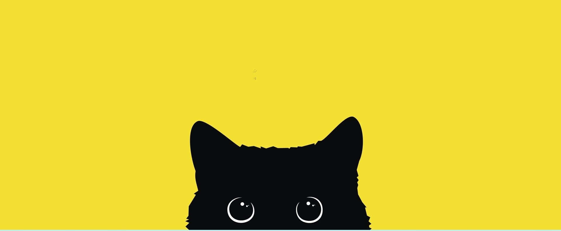 black cat, yellow background, curious face, Full HD Desktop Wallpaper
